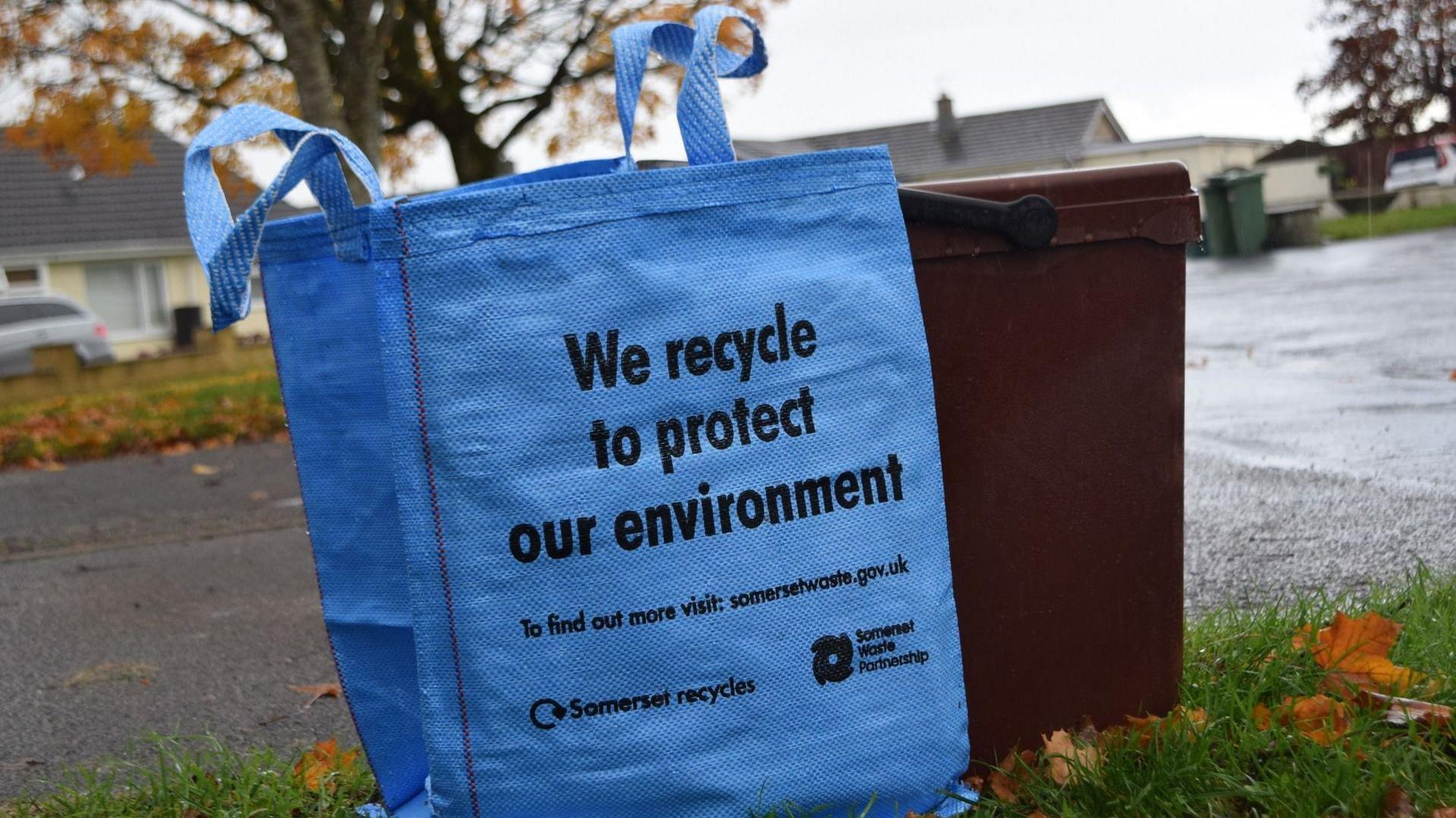 Blue recycling bin bag perched on the kerb of a street. There's a brown bin next to it with the view of a concrete street in the background.