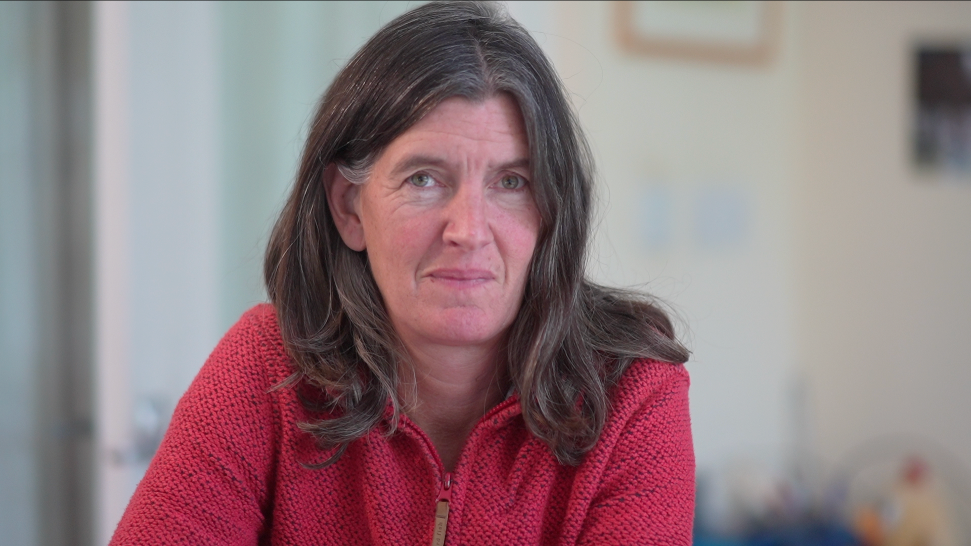 An image of Rosie Pearson. She is sat down and facing the camera. She is smiling and wearing a red jumper. She has brown hair with some grey streaks. The room pictured behind her is blurred.