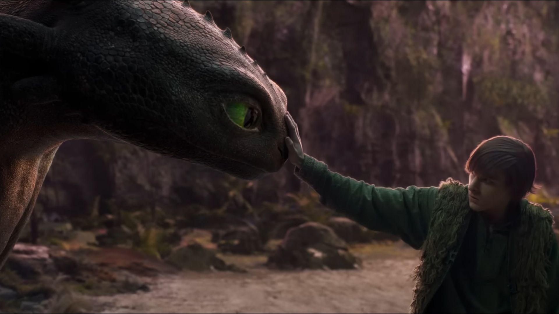 Hiccup stroking Toothless the dragon's nose