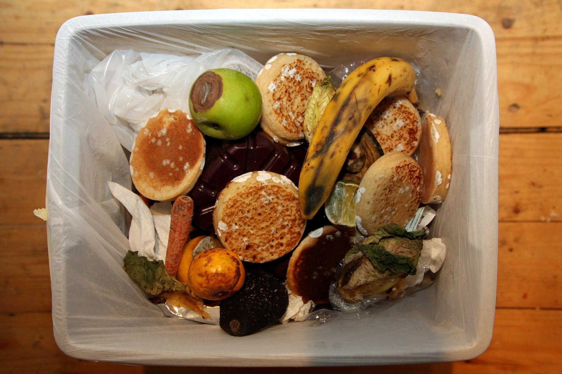 Food waste in a bin