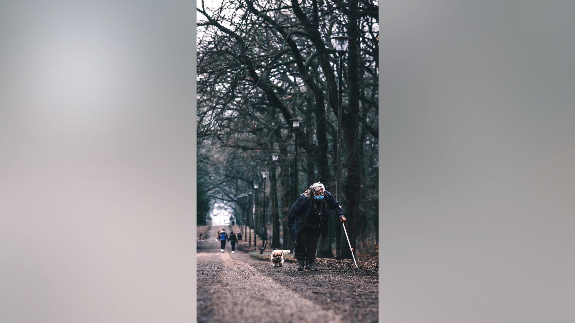 An elderly gentleman with a walking stick ambling down a country path on an similarly overcast day, with a small white dog. to his left. A couple walks the same path in the other direction, in the distance.