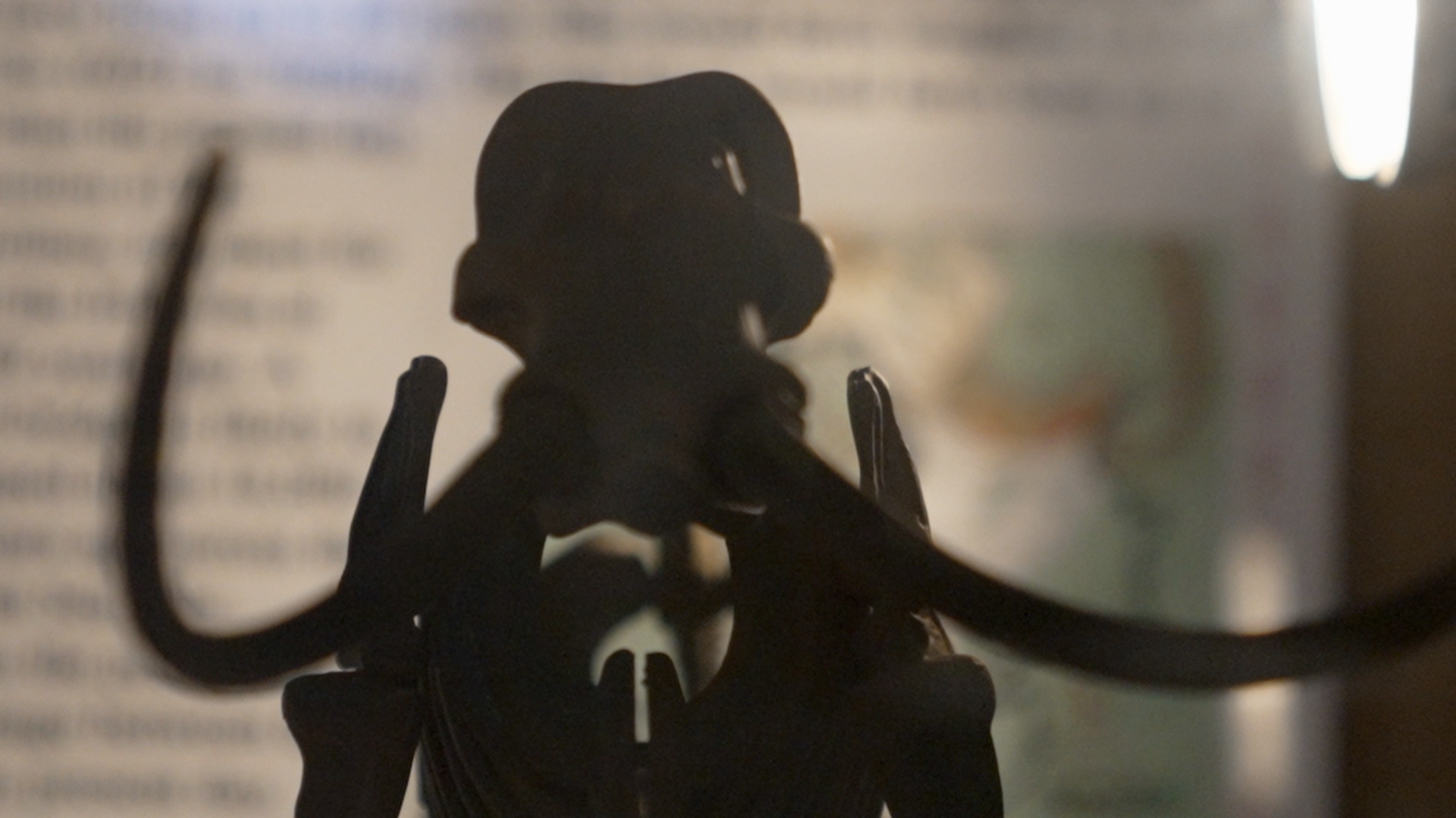 The silhouette of a woolly mammoth's skeleton.