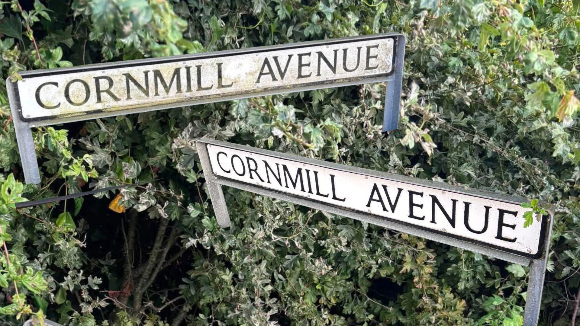 The image shows two street signs, both reading Cornmill Avenue, positioned at slightly different angles against a backdrop of dense green foliage. The signs are mounted on metal posts and appear weathered, with some dirt and discoloration suggesting age and exposure to the elements. 