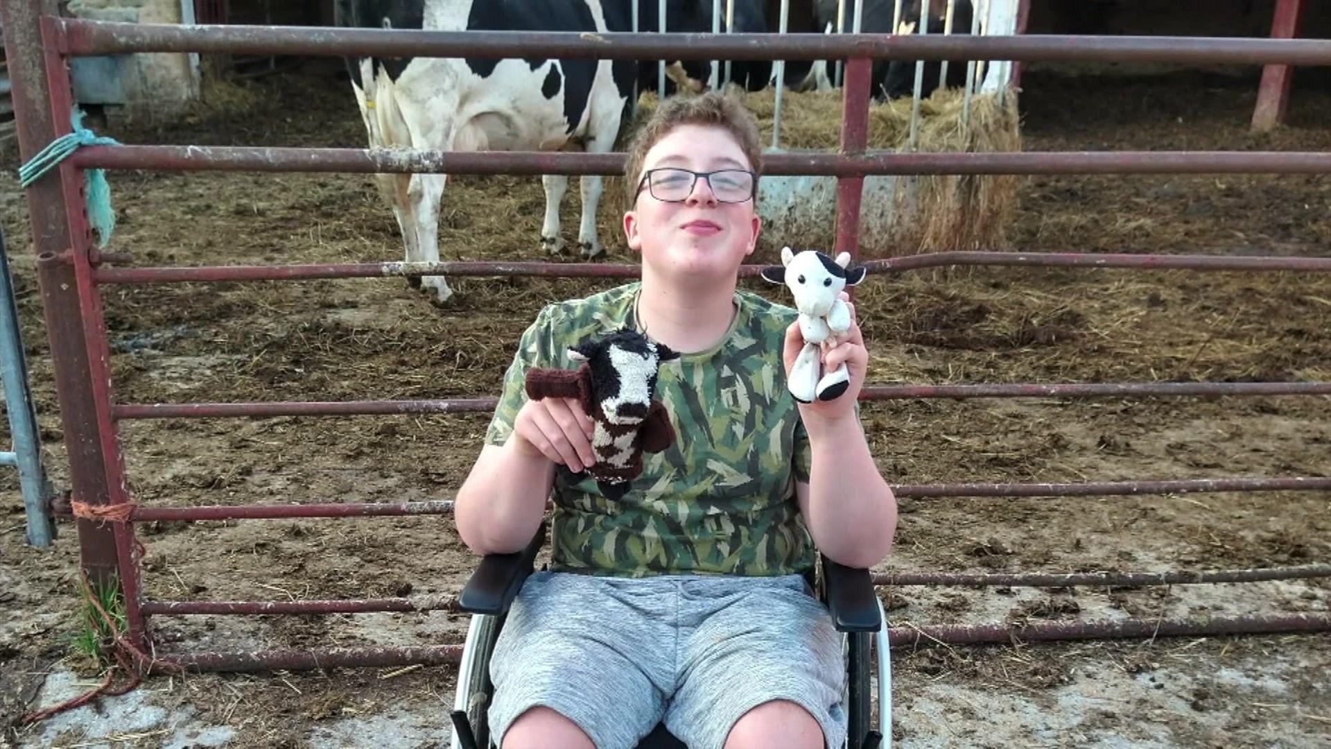 A young teenage boy wearing a green t-shirt and grey shorts. He's in a wheelchair and smiling, holding up a cuddly toy cow in each hand. Behind him is an enclosure with three cows in.