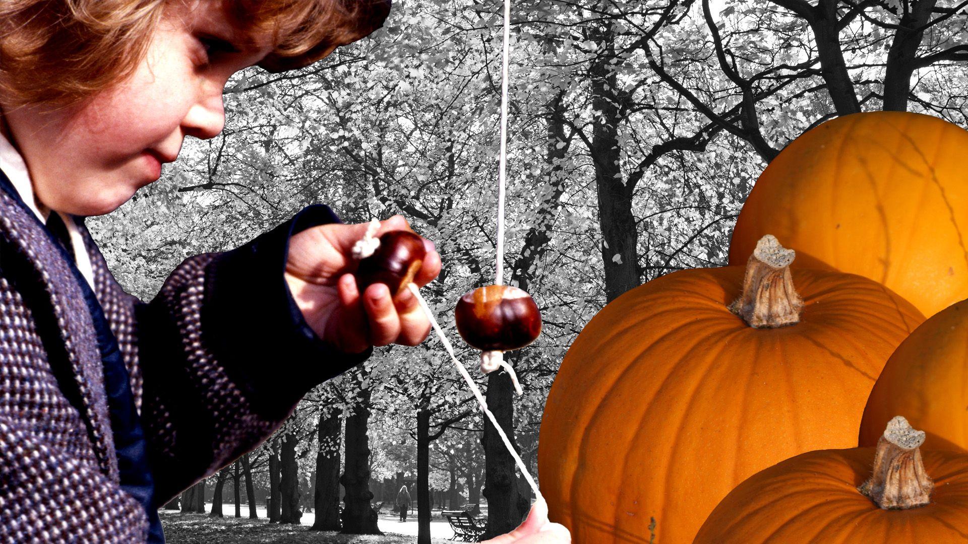 Collage of child playing conkers, pumpkins and autumnal trees.