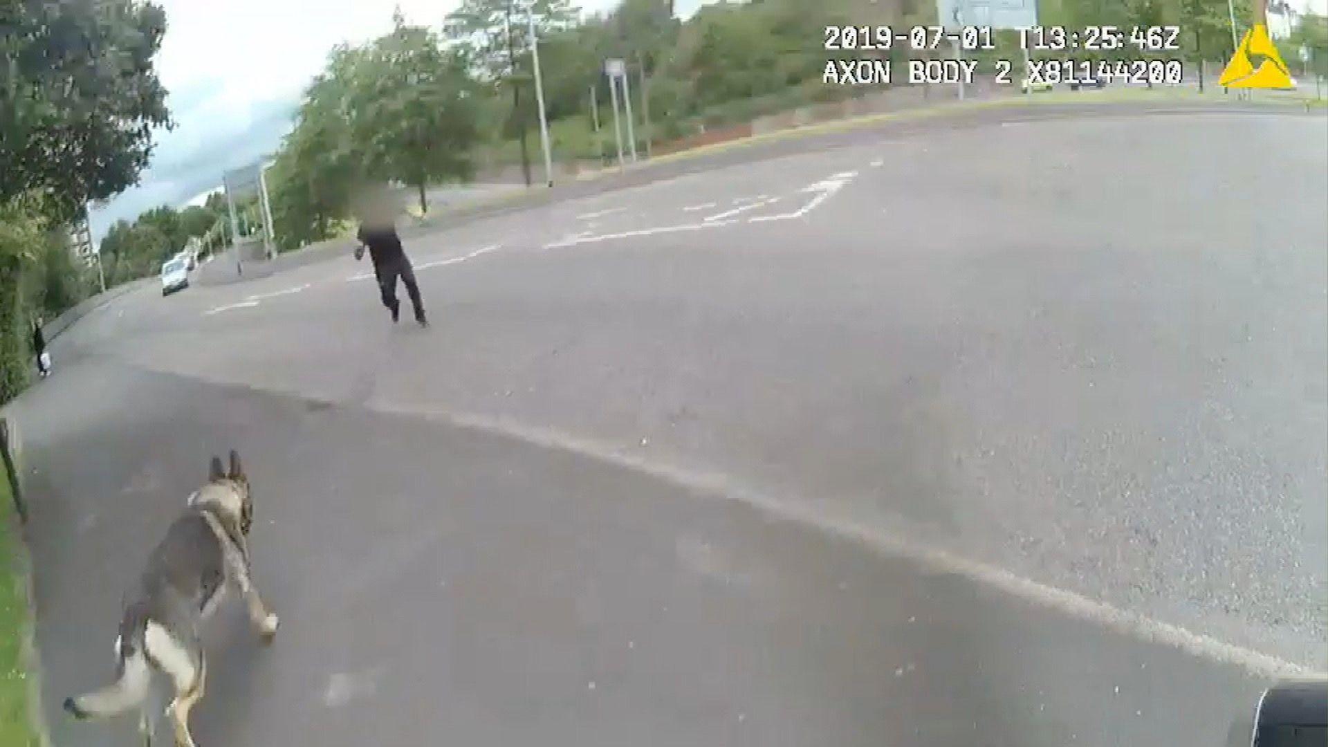 Police dog Audi chases down a man armed with a knife in Stoke-on-Trent town centre