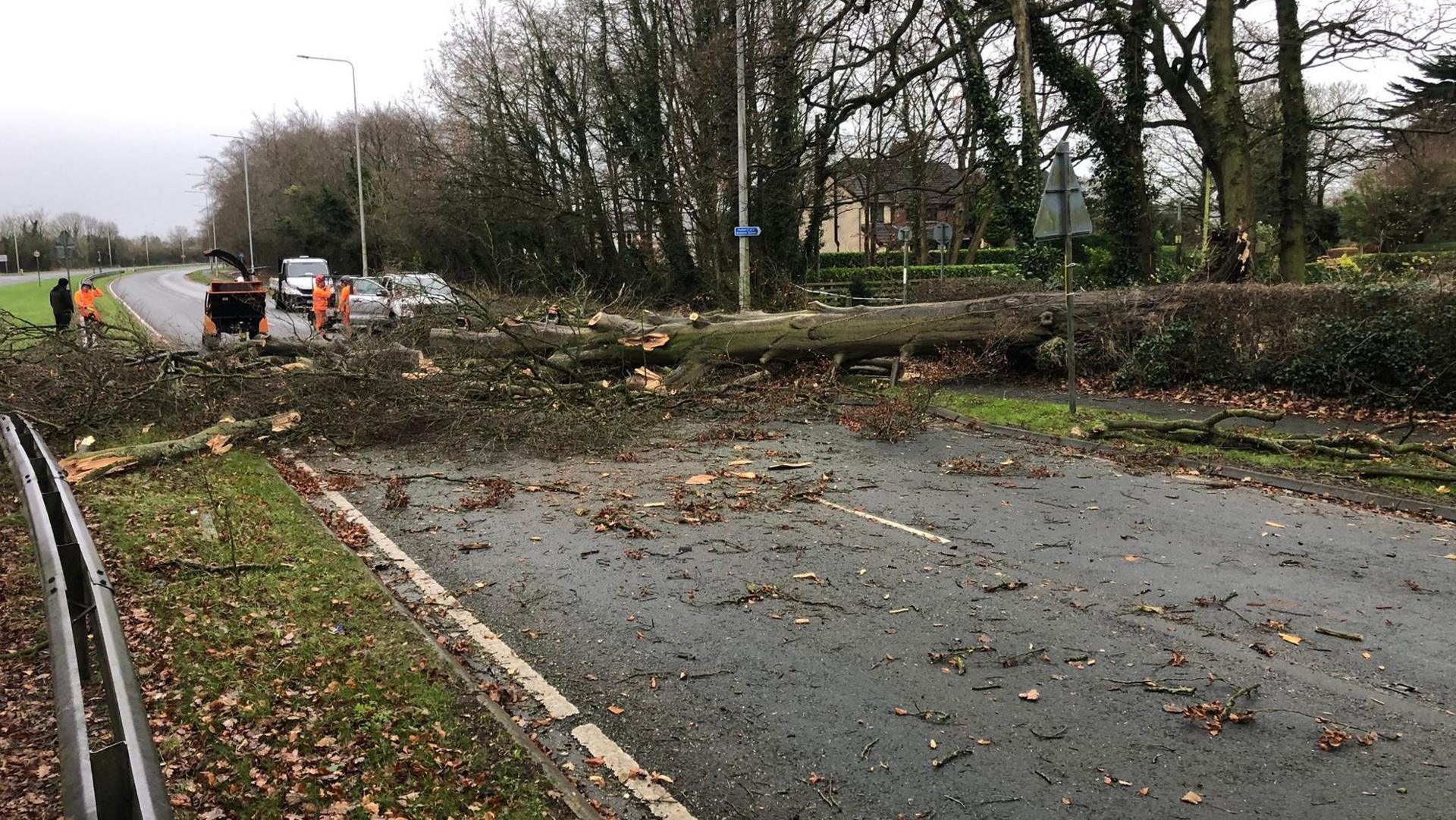 Fallen tree lying across the single carriageway surrounded by repairs crews