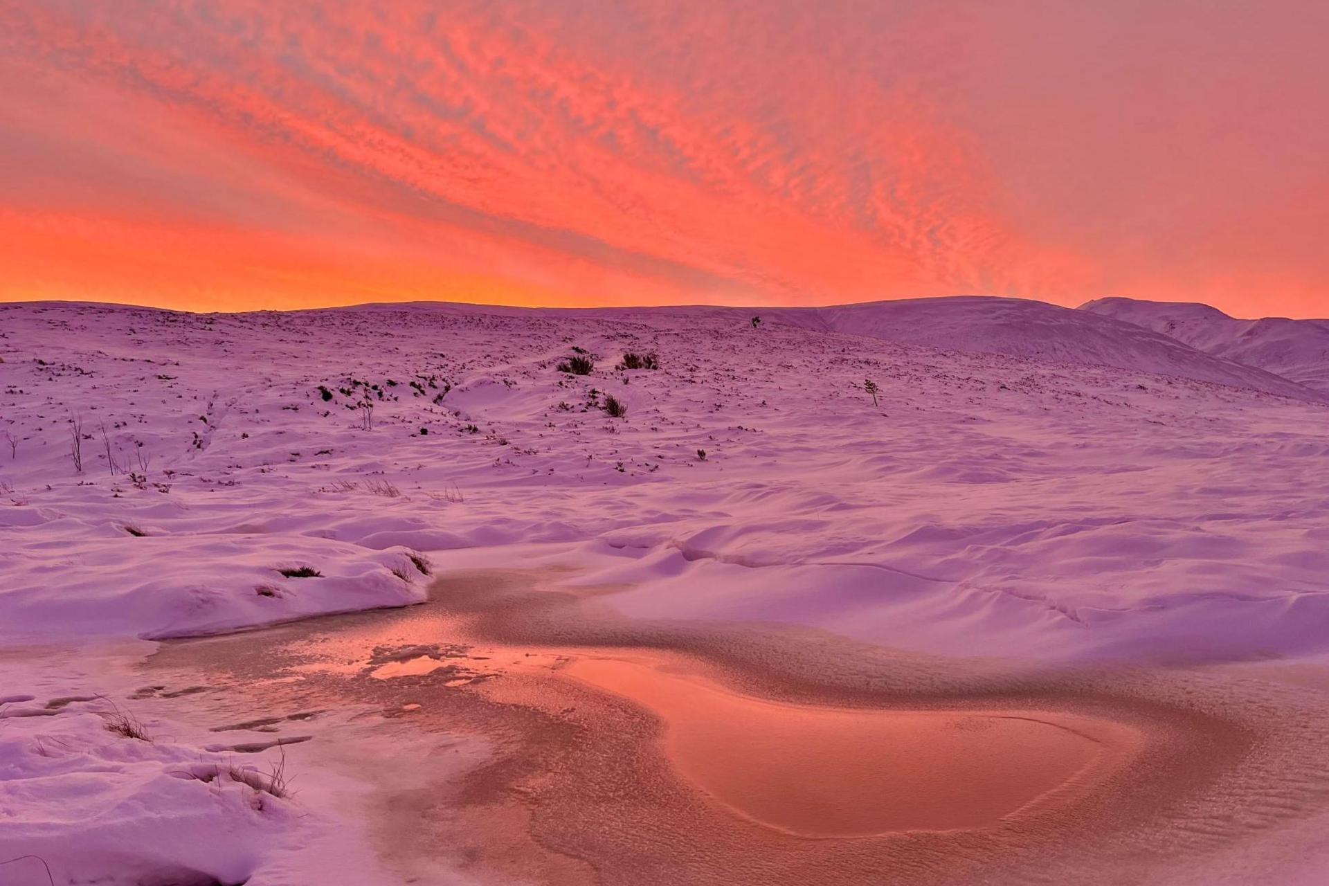 The sunrise has turned the sky an orange and the snow below pink. There is a pool of frozen water.