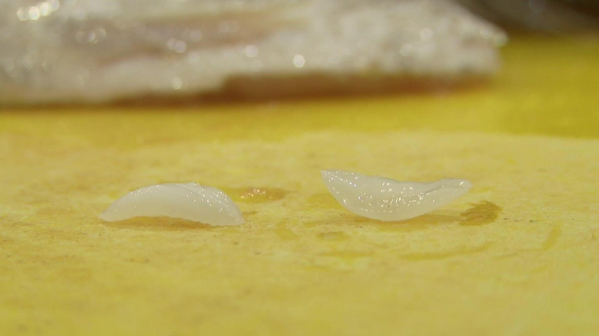 Two otolith bones on a yellow chopping board. They are white in colour and look like little curved shells.