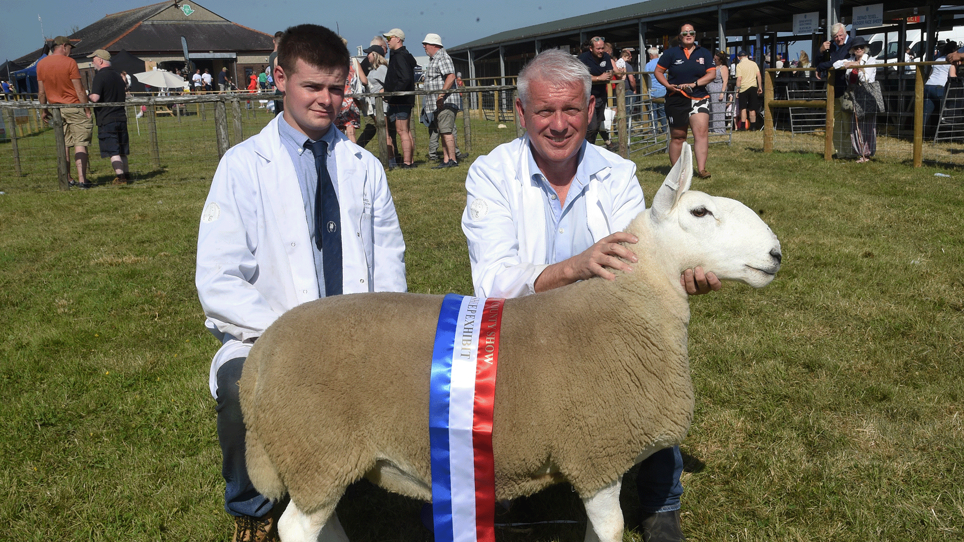 Melfyn Williams a'i fab Joe o Frynsiencyn oedd pencampwyr y defaid gyda'i dafad North Country Cheviot
