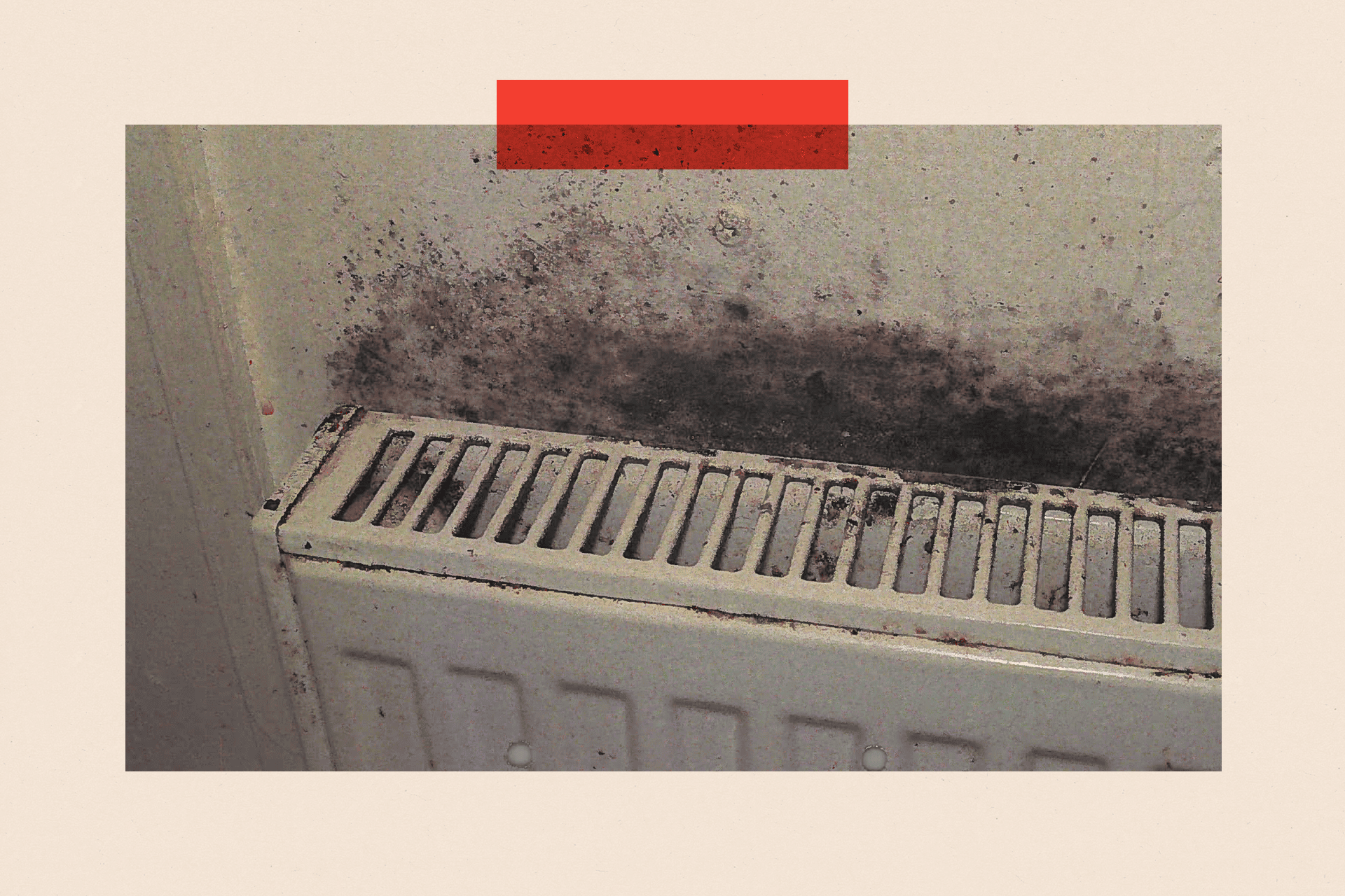 A radiator with mould
