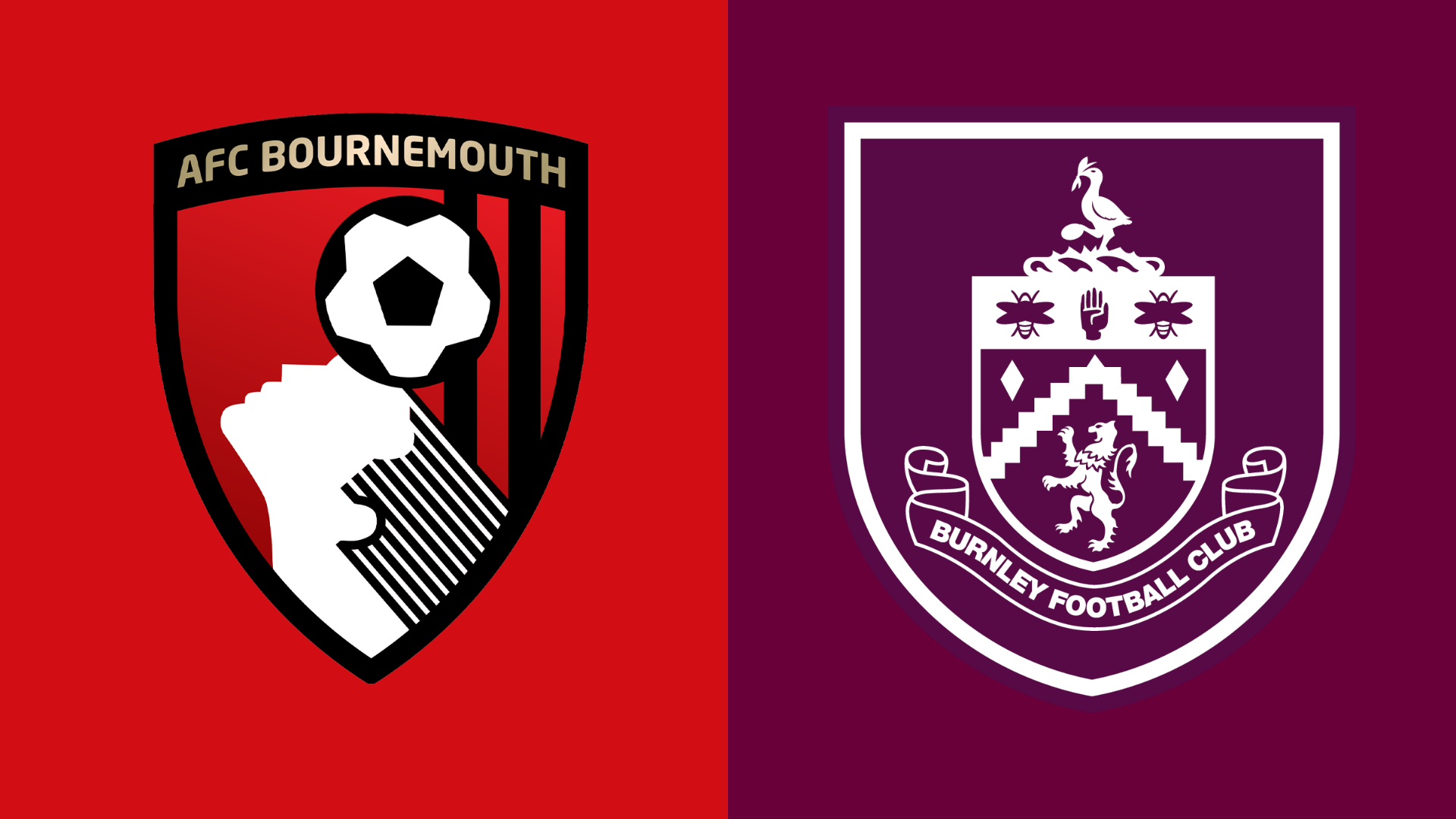 Bournemouth v Burnley