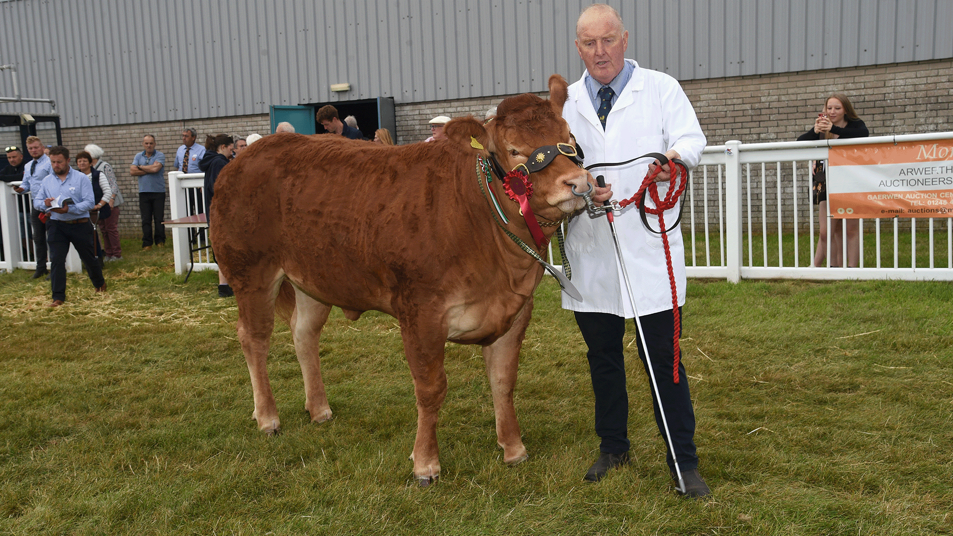 Tegwyn Jones o Lantrisant yn ennill gyda'r categori pencampwr masnachol
