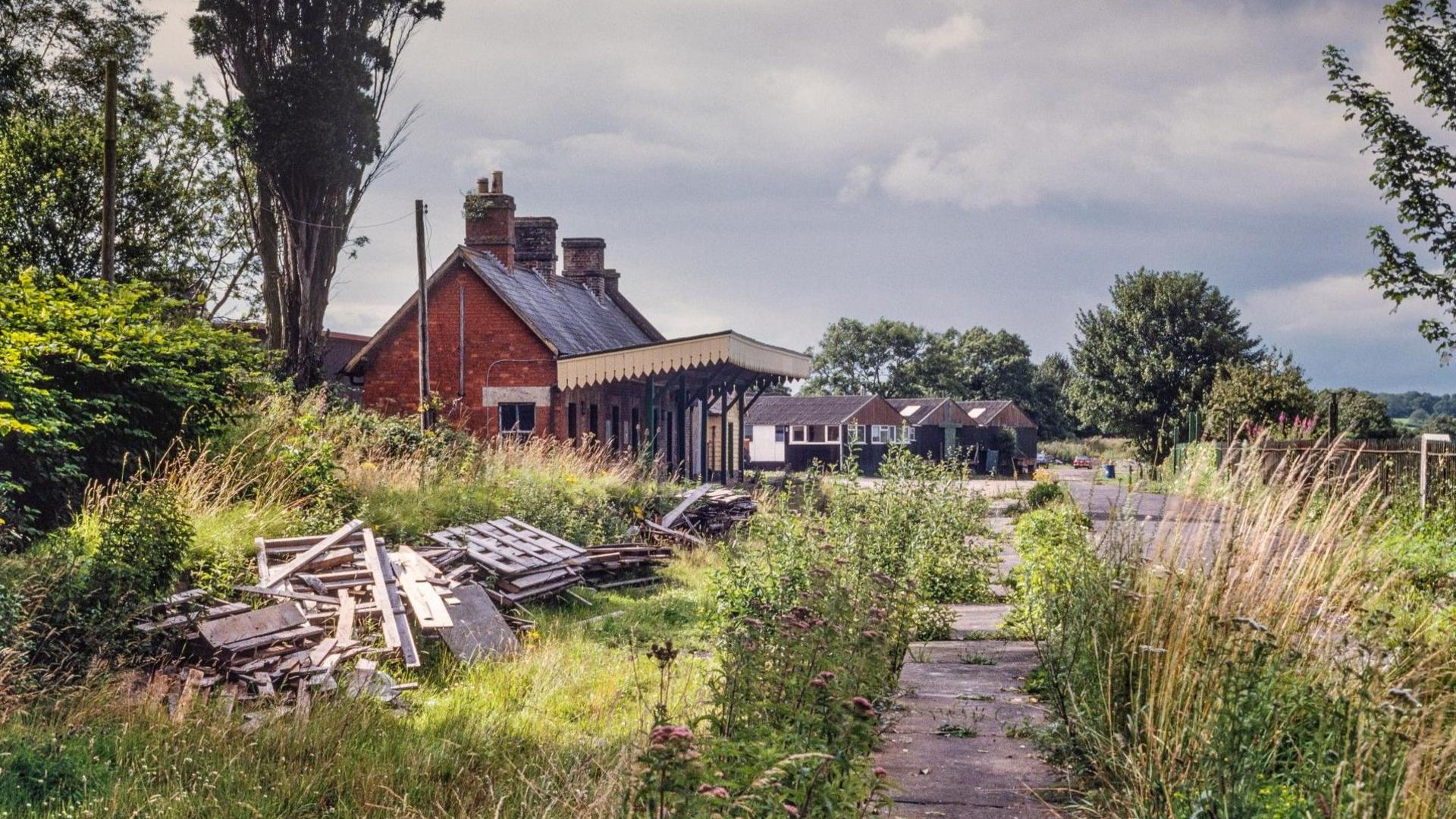 Shillingstone station looking overgrown after closure - there is long grass and weeds growing over station and some discarded wooden debris. 