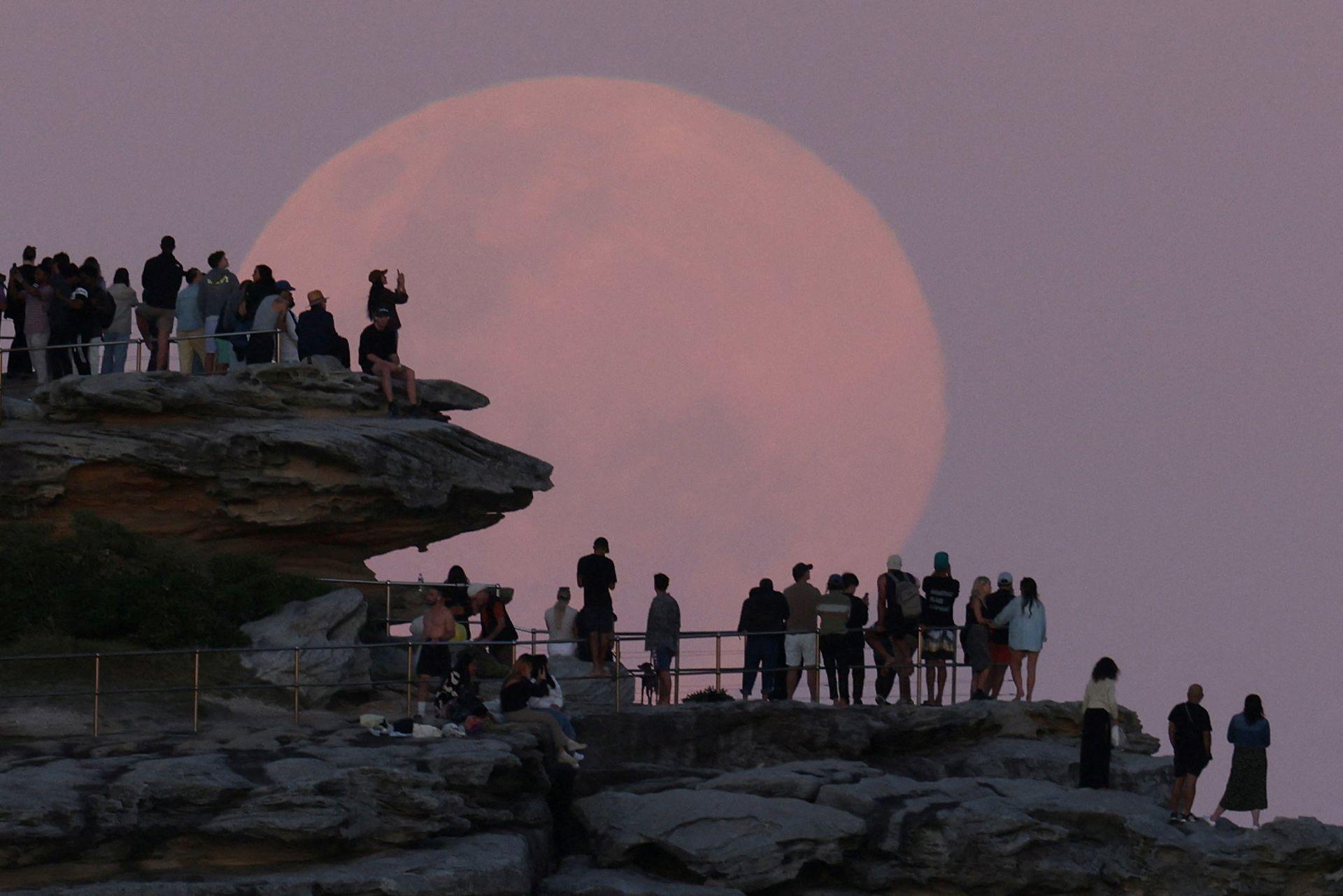A crowd of people are silhouetted in the foreground on a hilltop in front of the huge orange-tinged supermoon, in Sydney on Wednesday.
