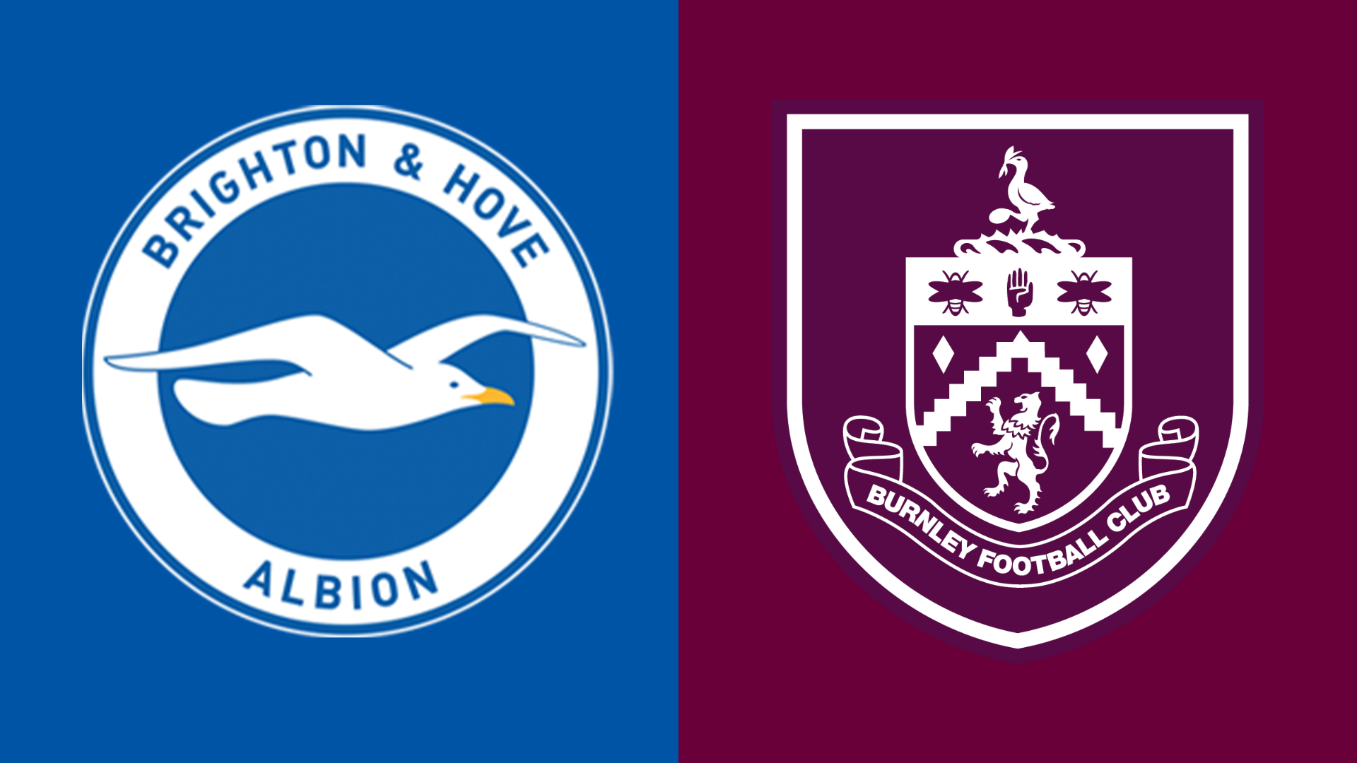 Brighton v Burnley