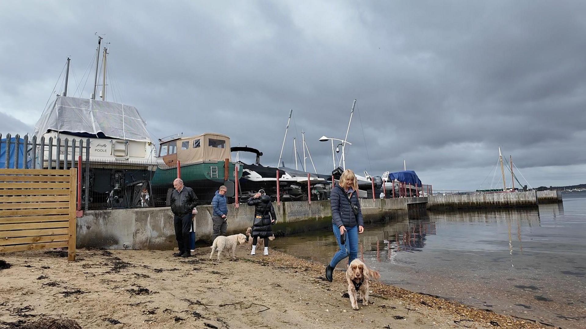 Dog walkers on the patch of beach in question. There are yachts in the background and water just off the sand.