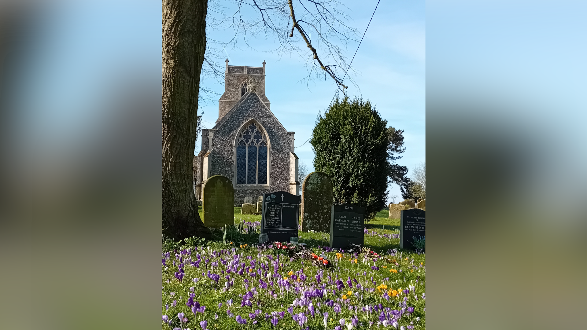 A view of St Mary's Church. Grave stones sit in the church yard outside the church and wild flowers in a variety of colours grow around the yard.