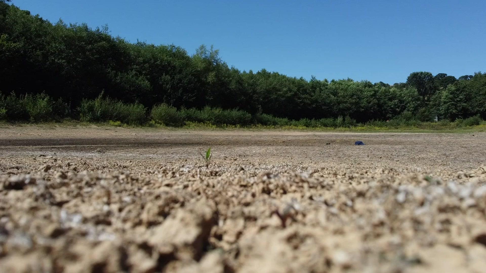 A dried-up reservoir at Riverford in Devon