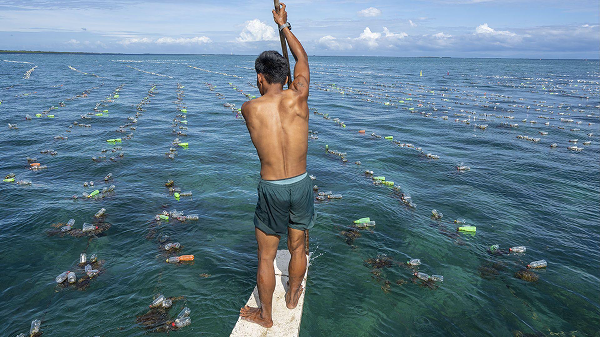 Man on a board in litter-strewn sea