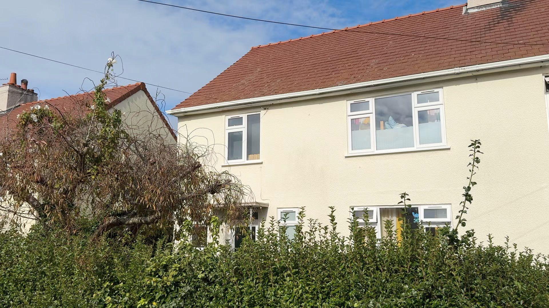 A cream house with four windows and a door, with a green hedge in front of it and a bedraggled tree. 