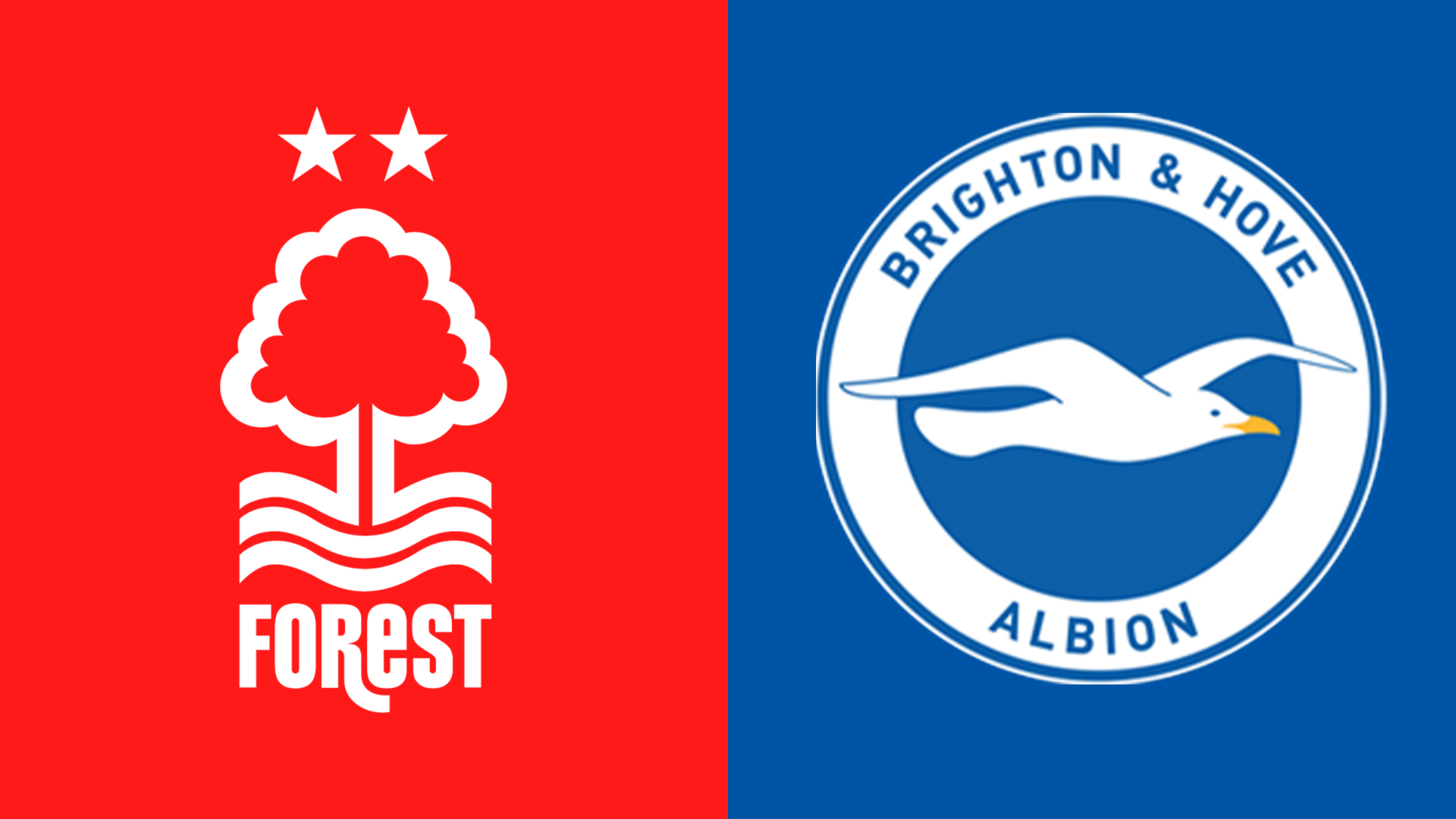 Nottingham Forest v Brighton