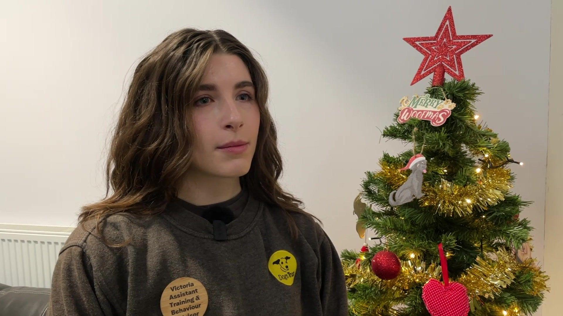 Victoria is wearing a brown jumper with a Dogs Trust logo on it and a wooden badge with her title 'Victoria Assistant Training & Behavior Advisor. She has long brown hair. To the right of the shot is a Christmas Tree with yellow lights on it and gold tinsel. There is a red glittery star on top of the tree.