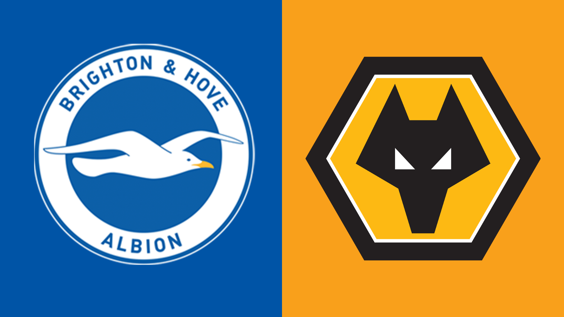 Brighton v Wolves