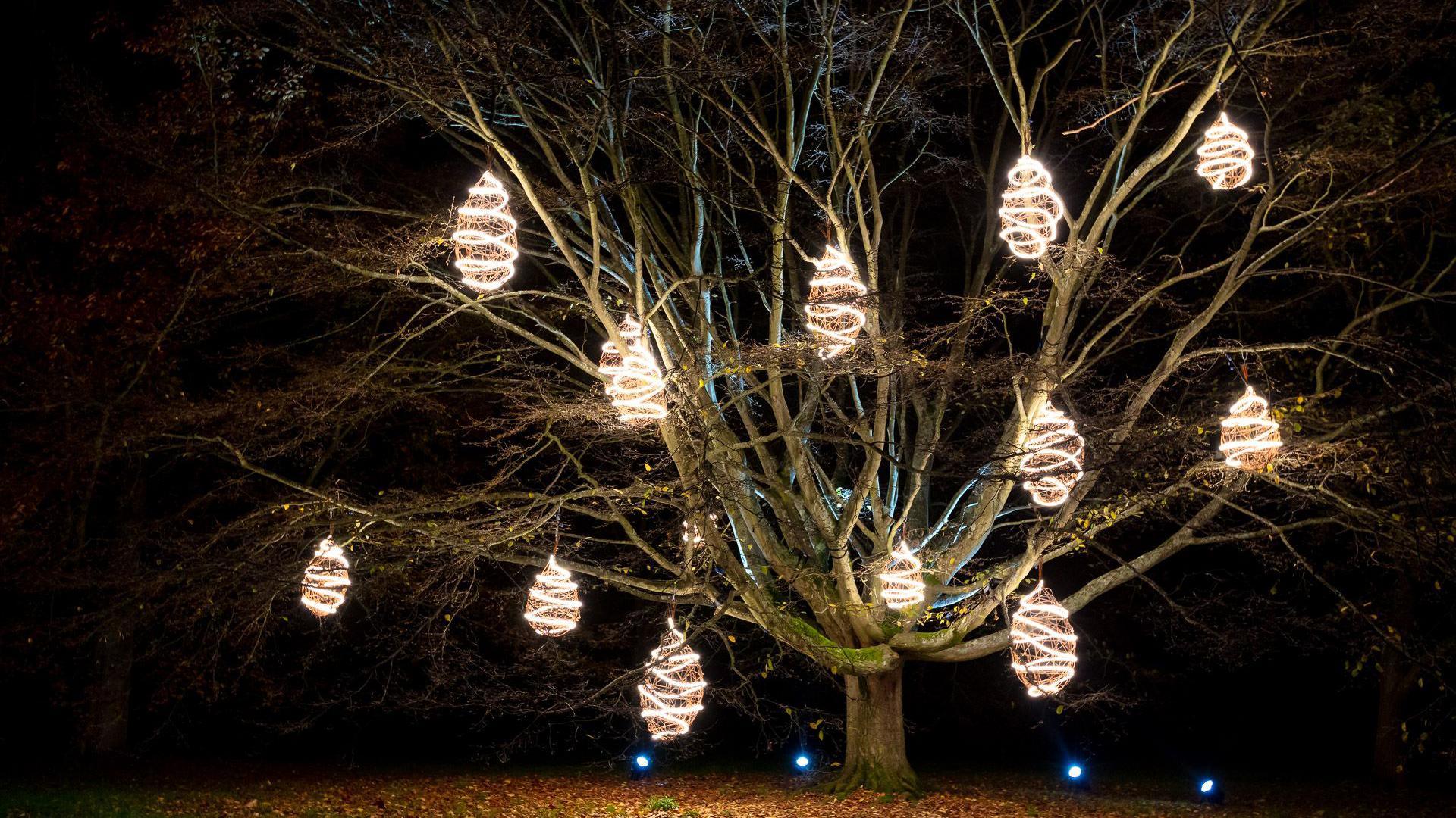 12 beehive-like structures, with LED string lights wrapped around them, hang from a tree at night.