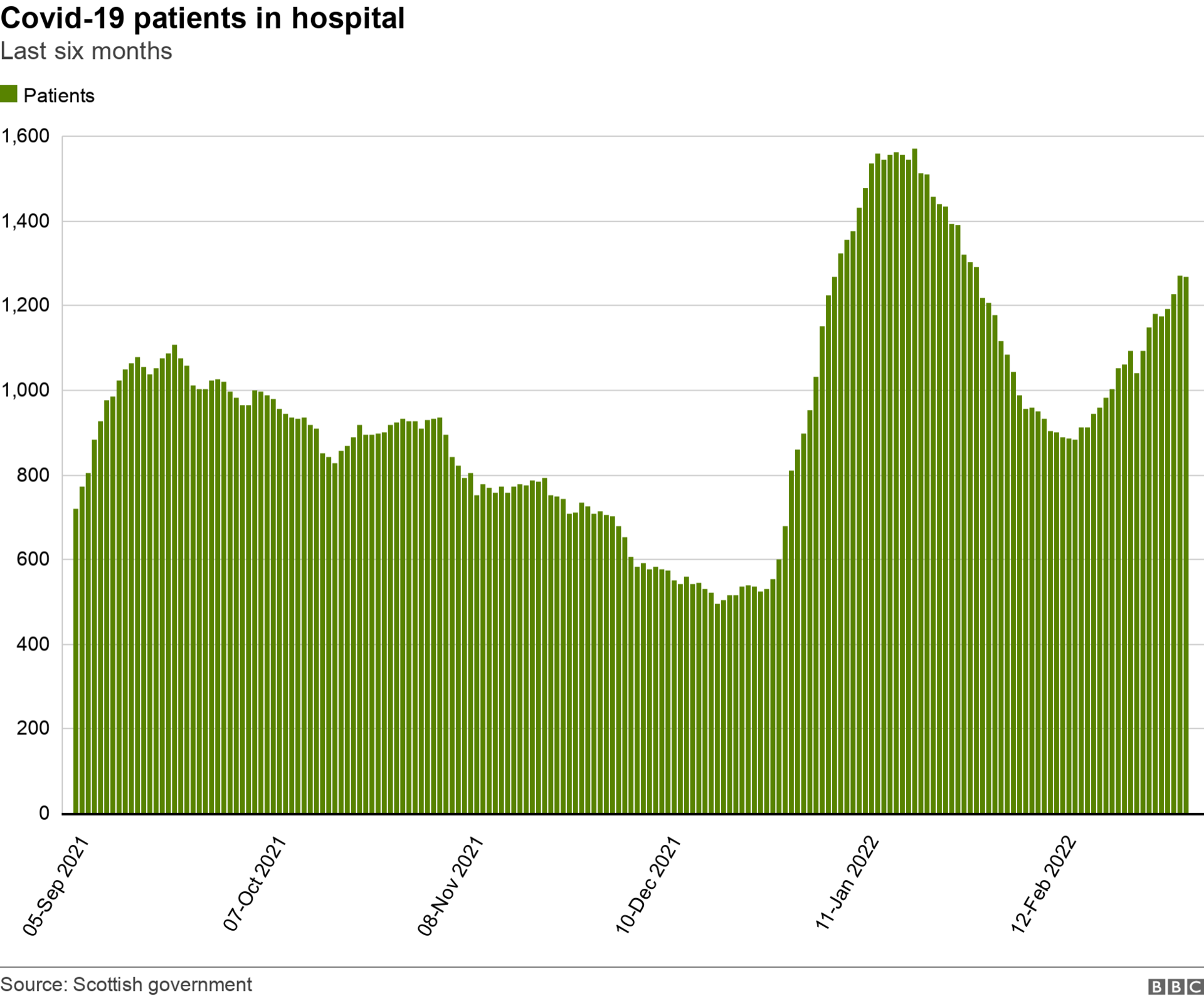 hospital numbers