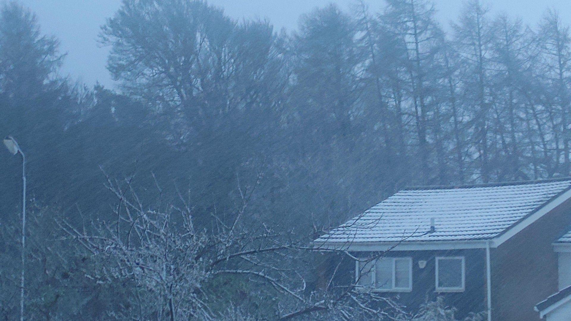 Wintry scene showing a house with snow on the roof and trees with a sprinkling of snow