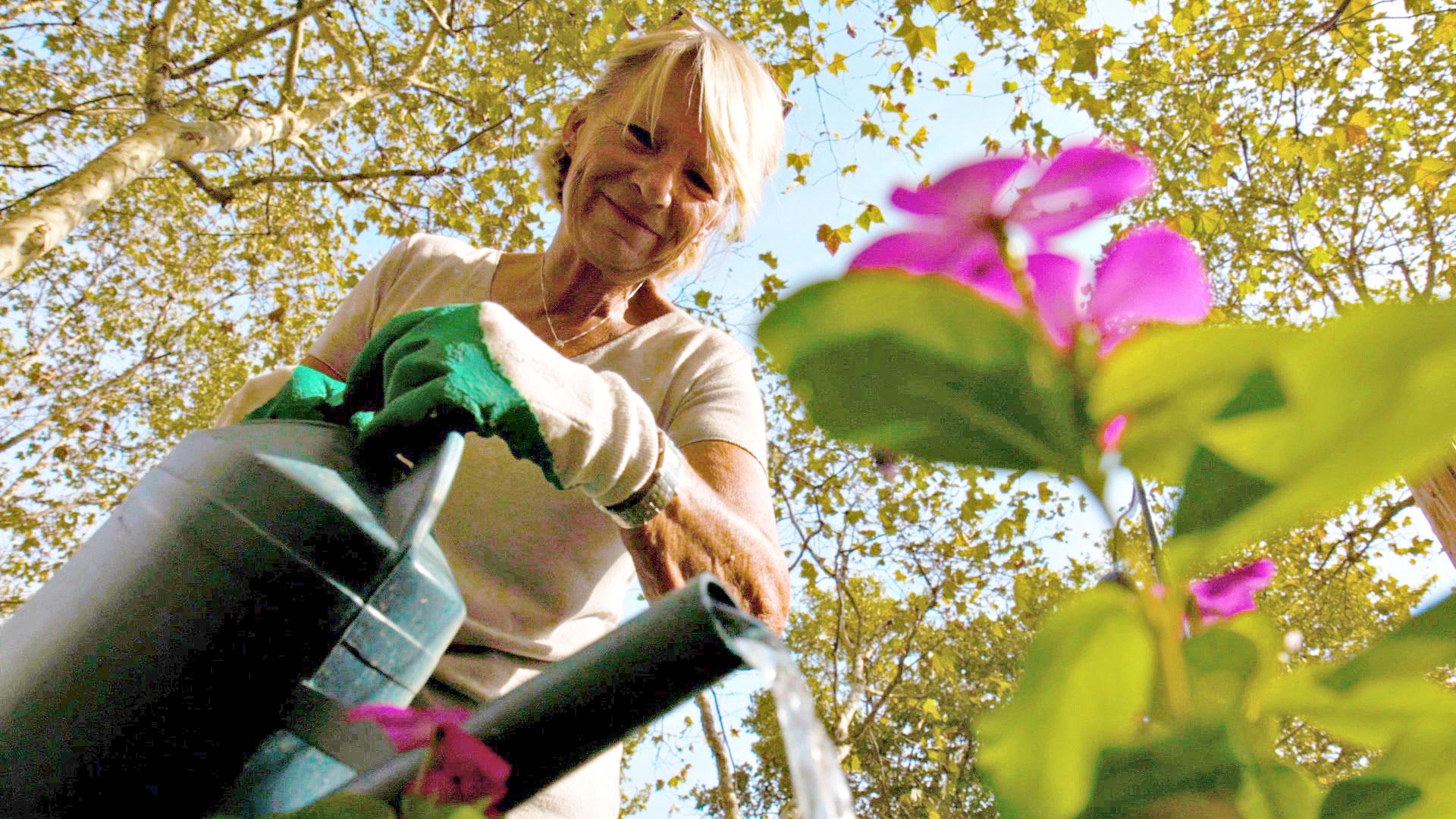 Watering a street garden in Paris