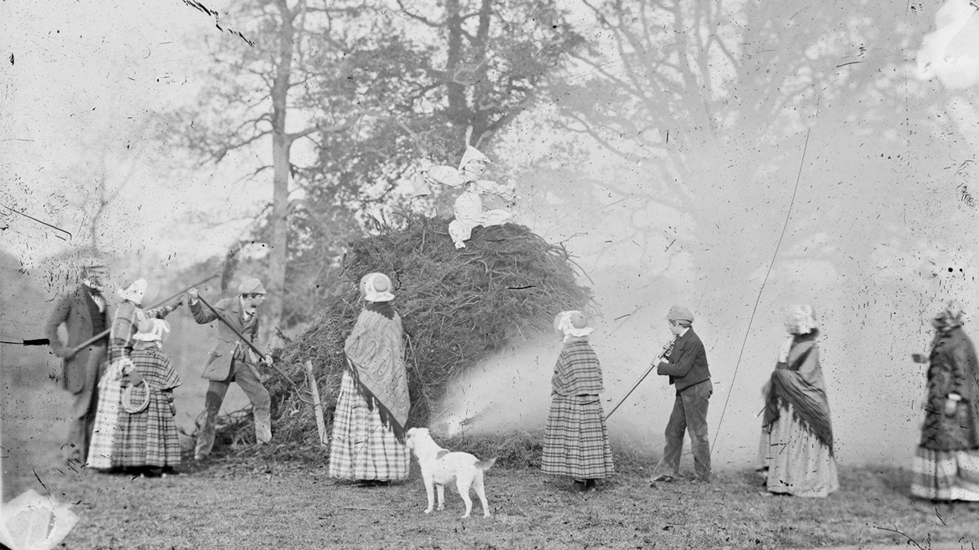 Hen lun du a gwyn o golecerth