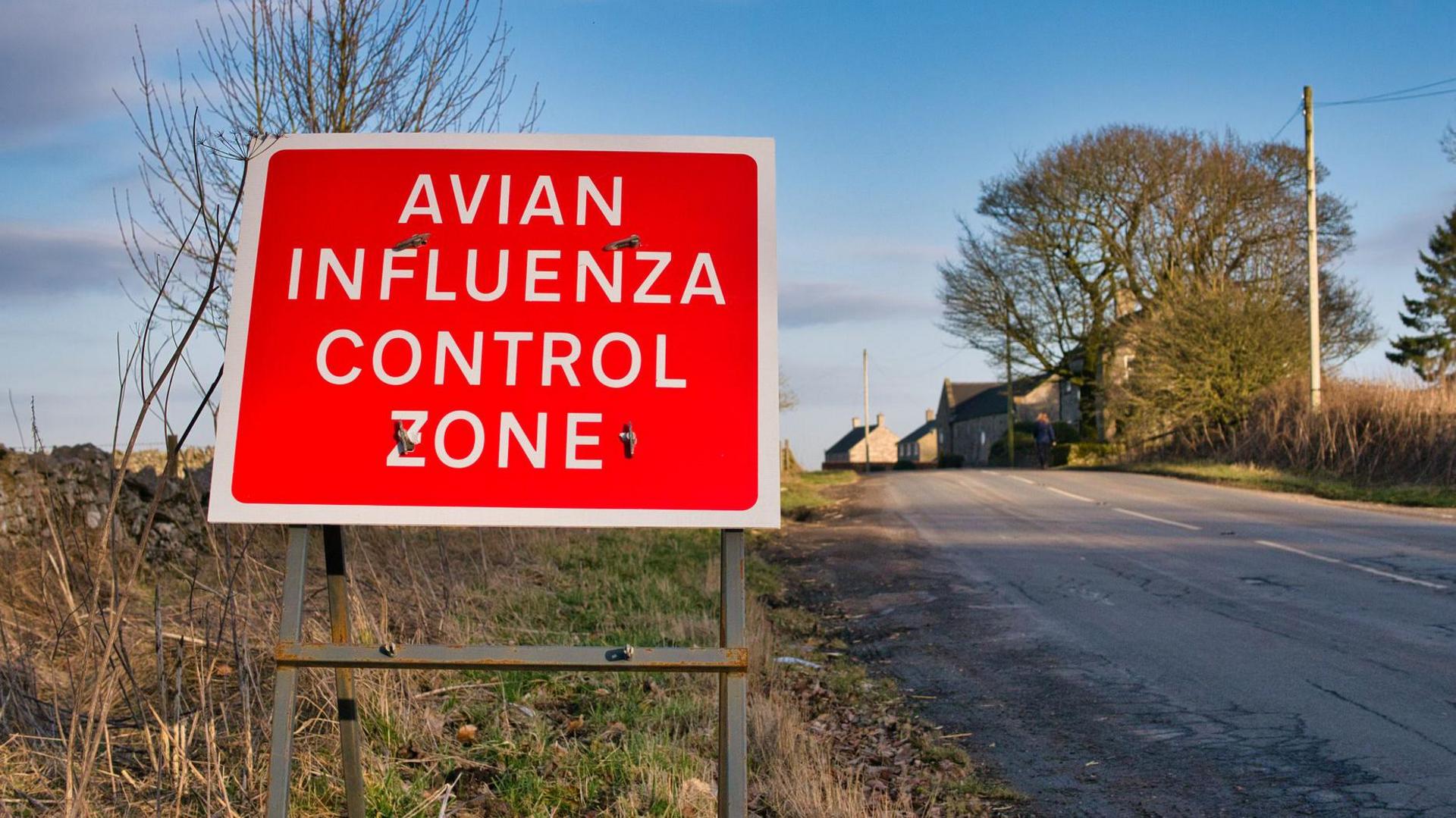 A red warning sign at the side of a road warns that the reader is entering an avian flu control zone. Taken in winter sunshine with a blue sky in Derbyshire, UK.
