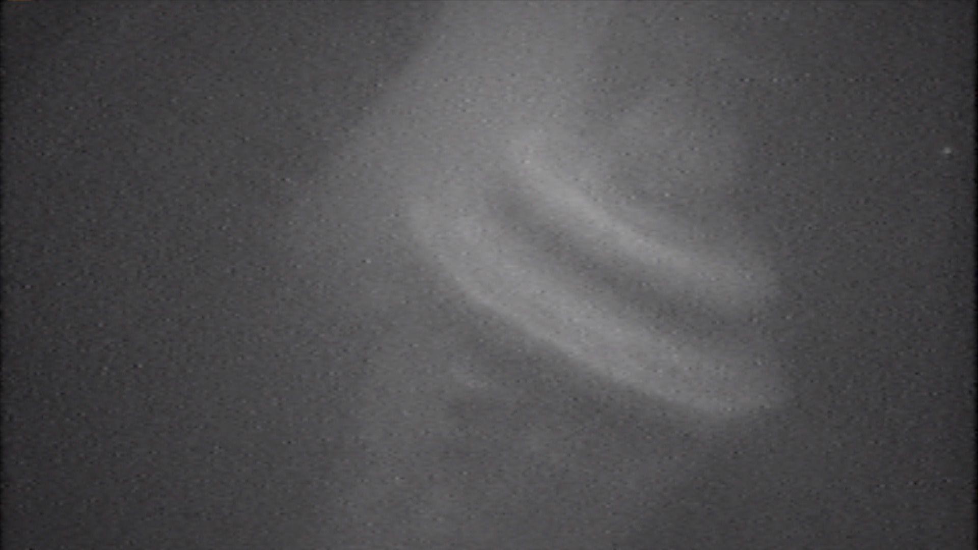 A canon is barely visible through silted water