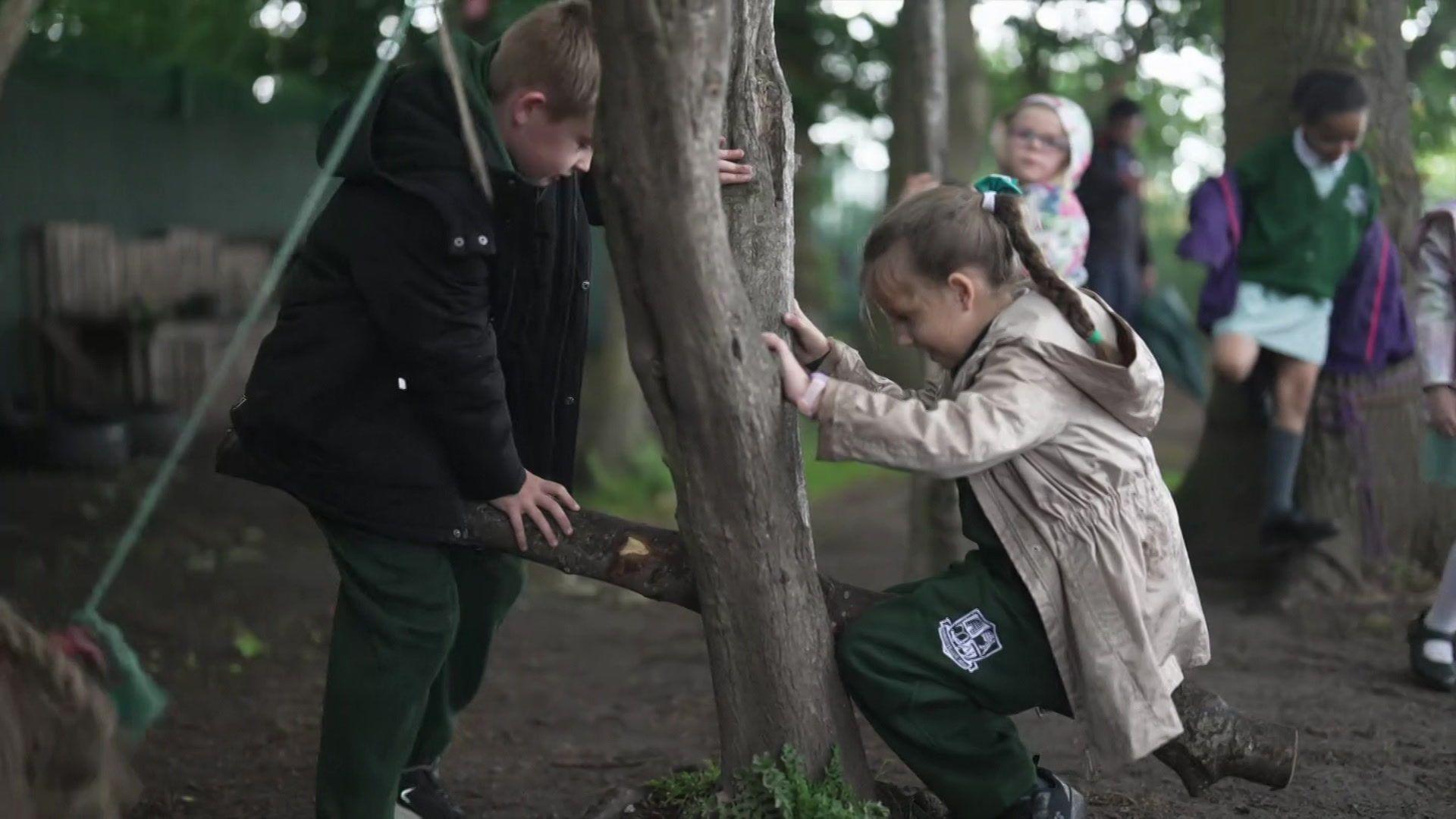 Two students are on a wooden seesaw in a wooded area with trees in the school playground.