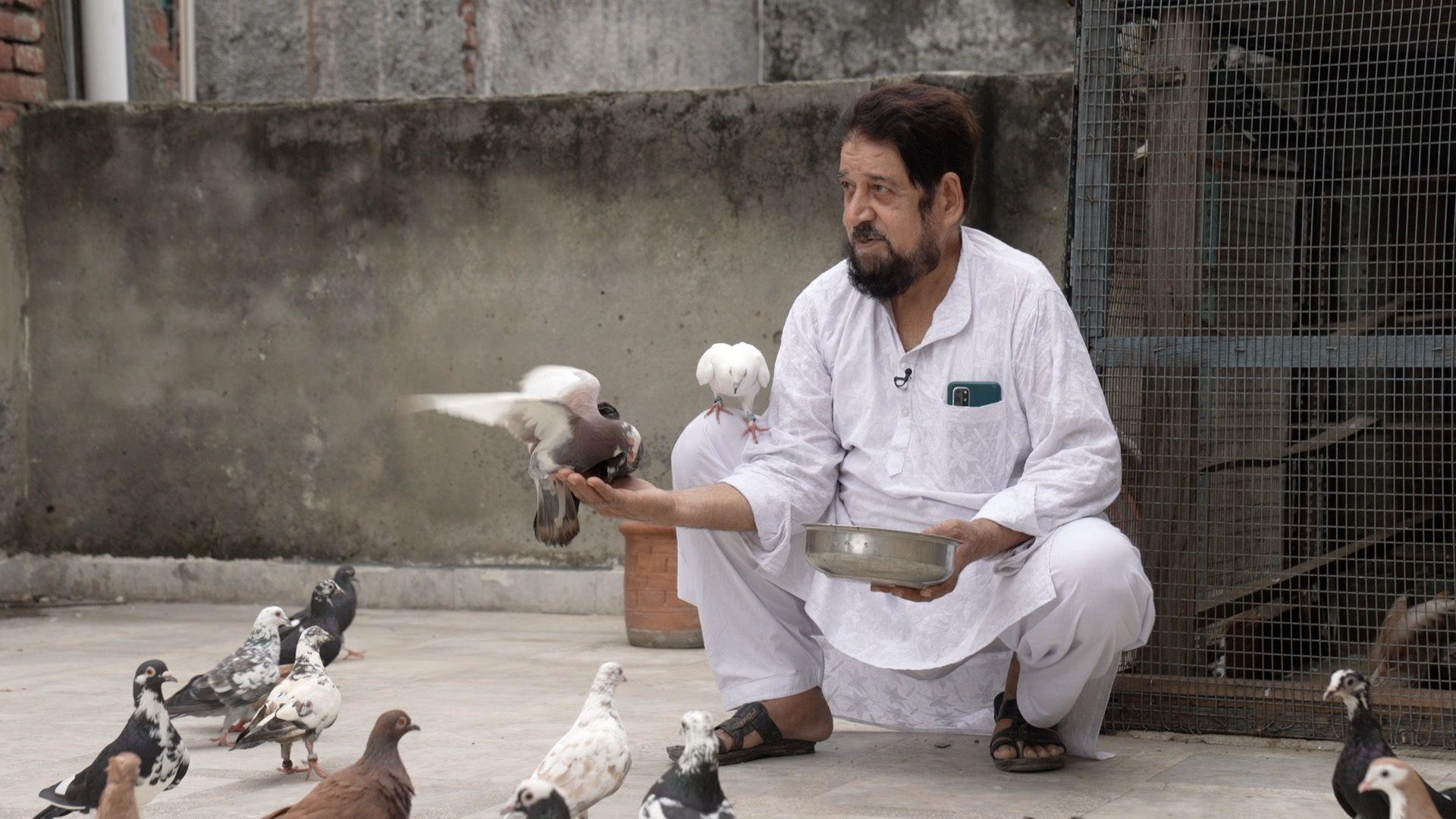 Syed Ismat, wearing a white kurta pajama, feeds grain to pigeons on a rooftop He is holding a steel bowl and there are pigeons perched on his palm and knee
