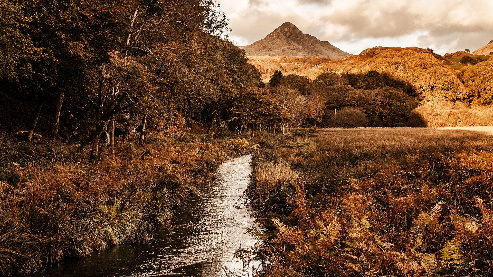 Cnicht o bont Garreghylldrem