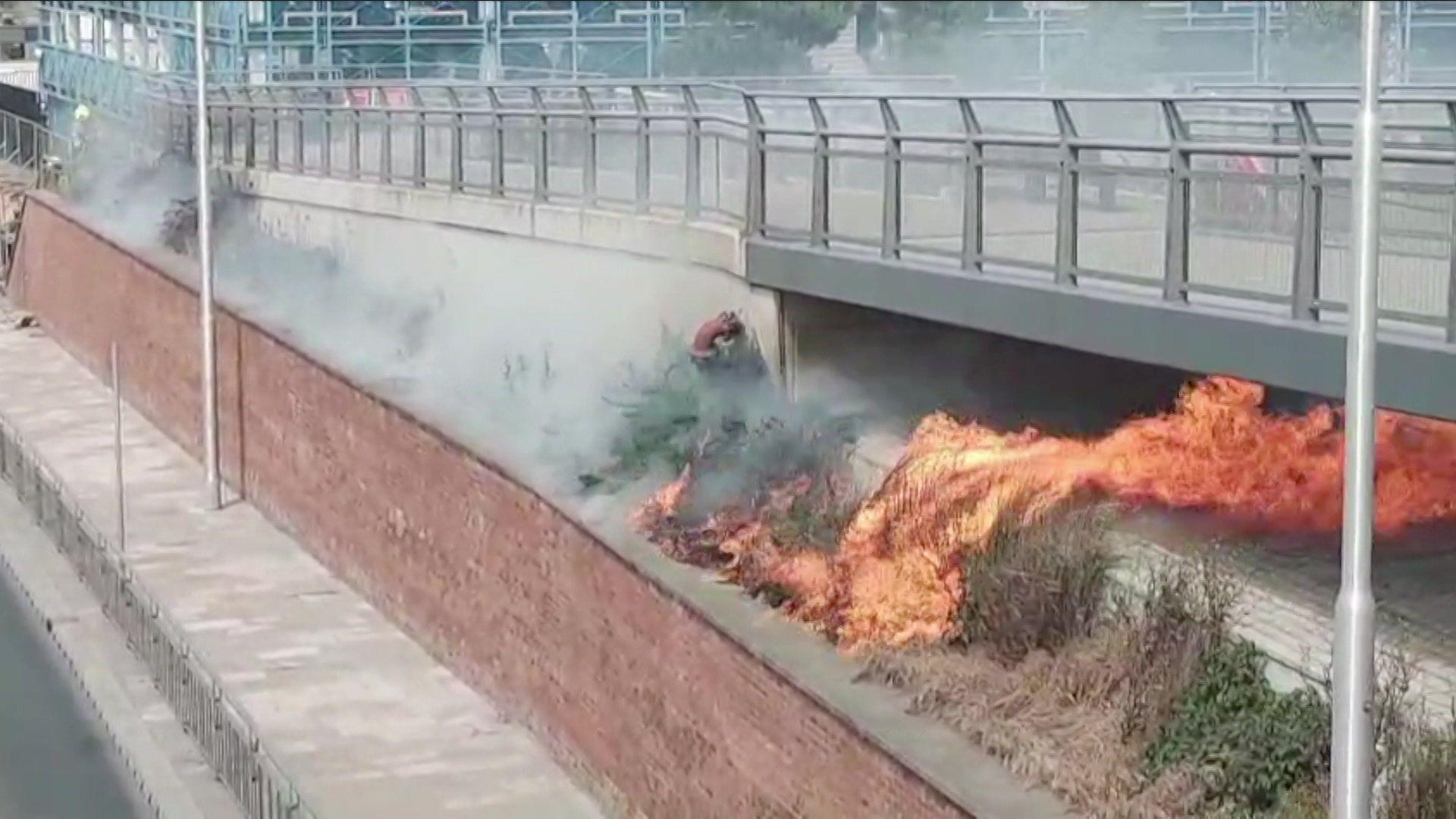 Orange and red flames burn an area of grass and shrubs next to a road. The fire can be seen lapping against a grey coloured bridge.