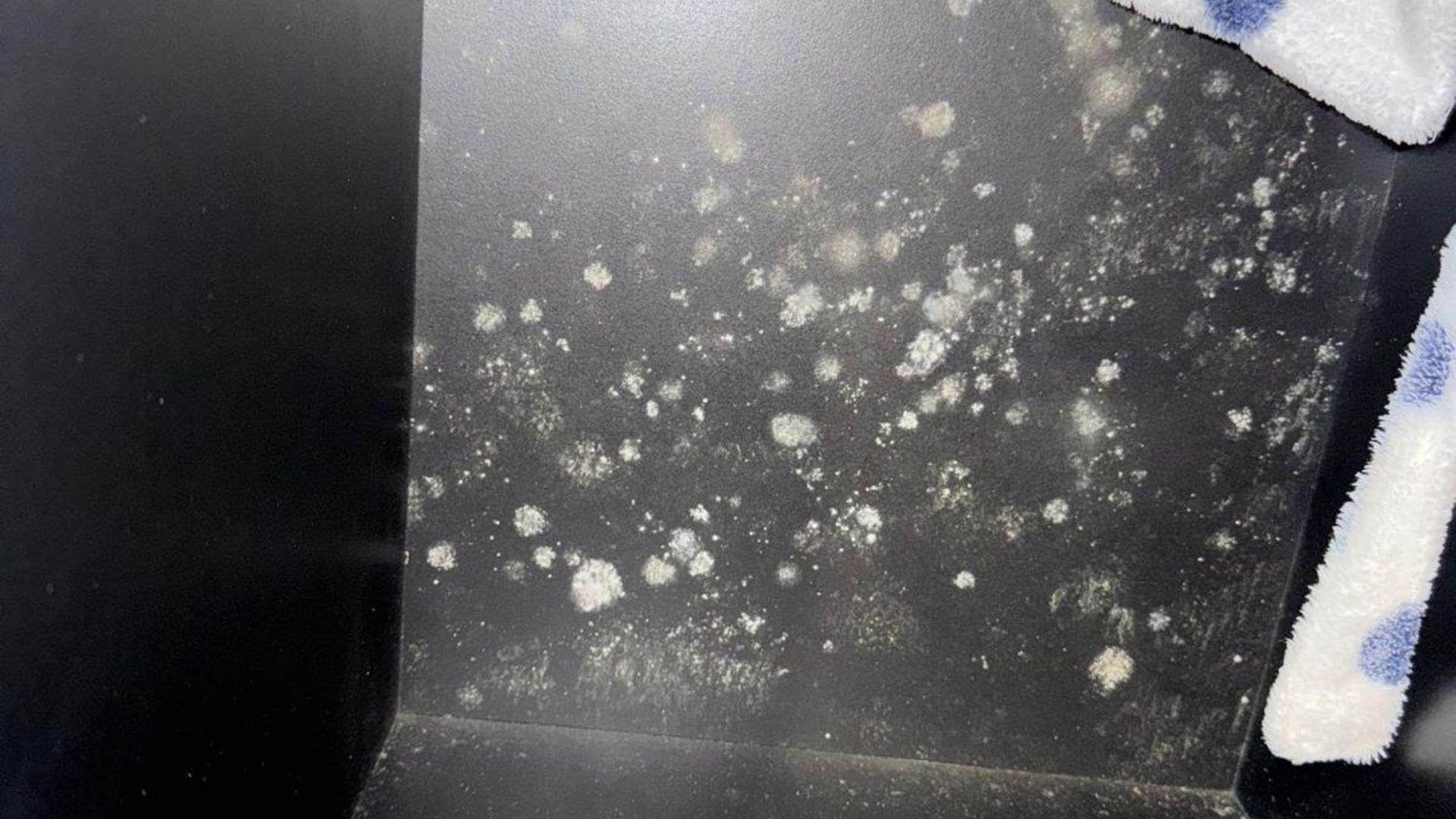 White and light green mould spores on a black wardrobe. The robe of a dressing gown can be seen hanging in the corner, it is white with blue spots.