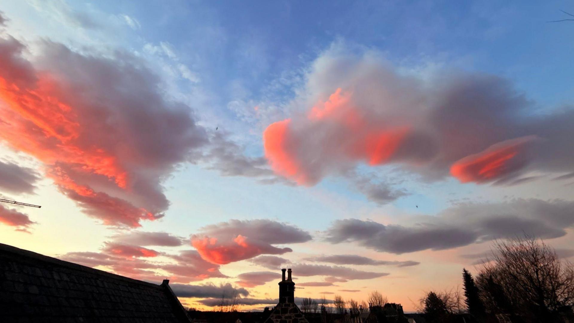 Pink fluffy clouds above rooftops and trees.