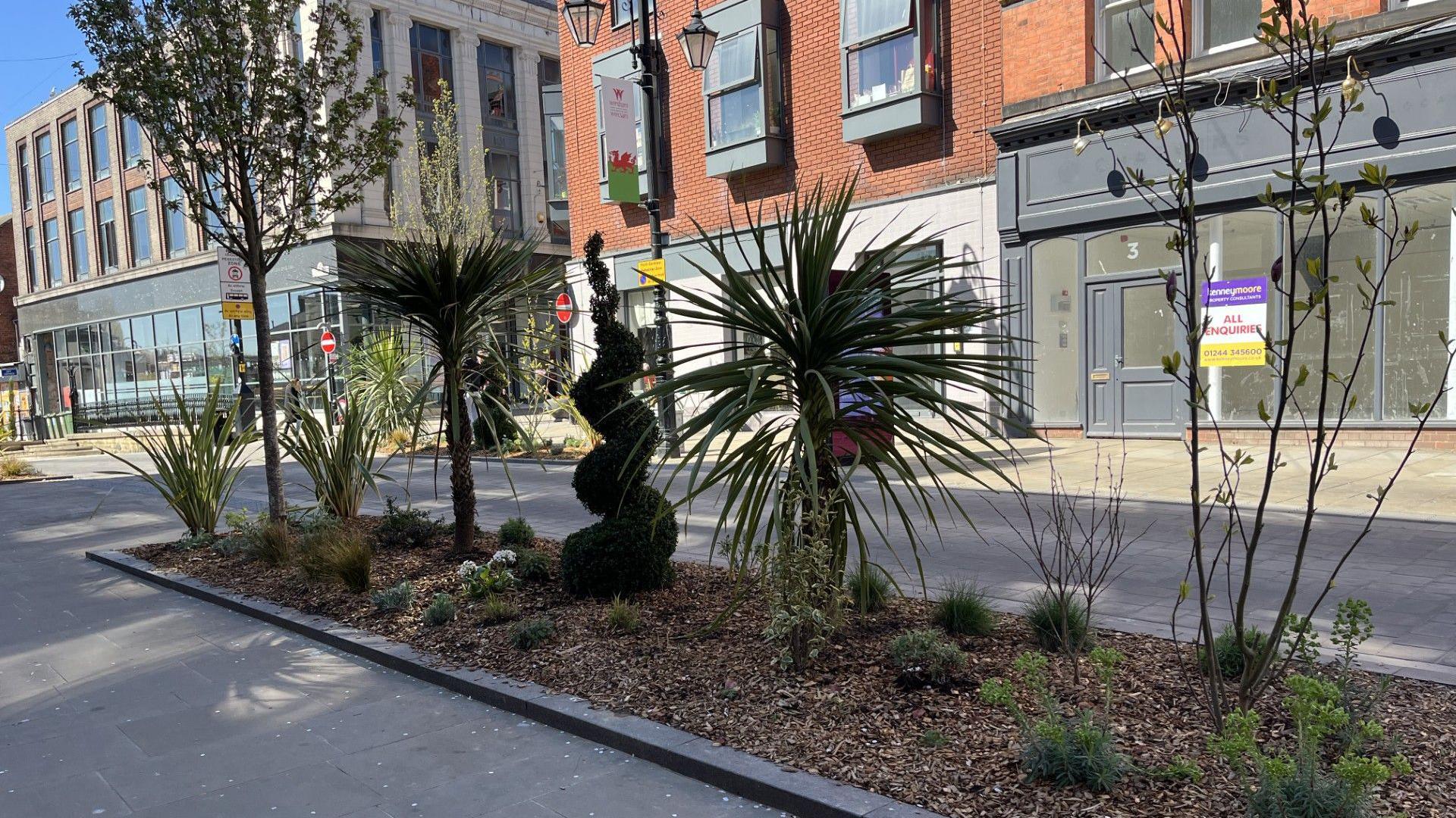 A rectangular area within a pedestrianised street which is planted up with trees, grasses, shrubs and plants. There are buildings, including an empty shop in the background. 