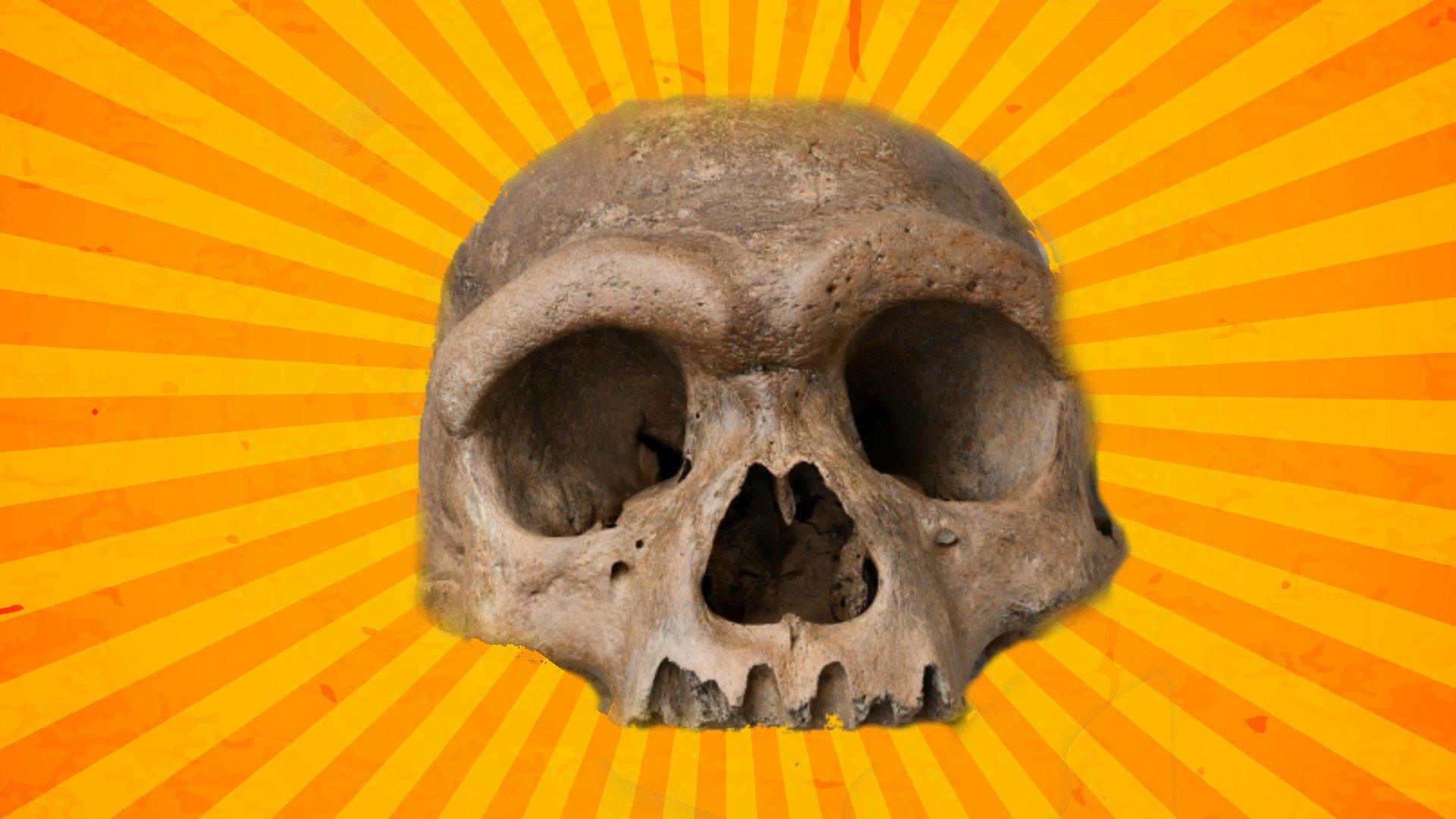 ancient-human-skull.