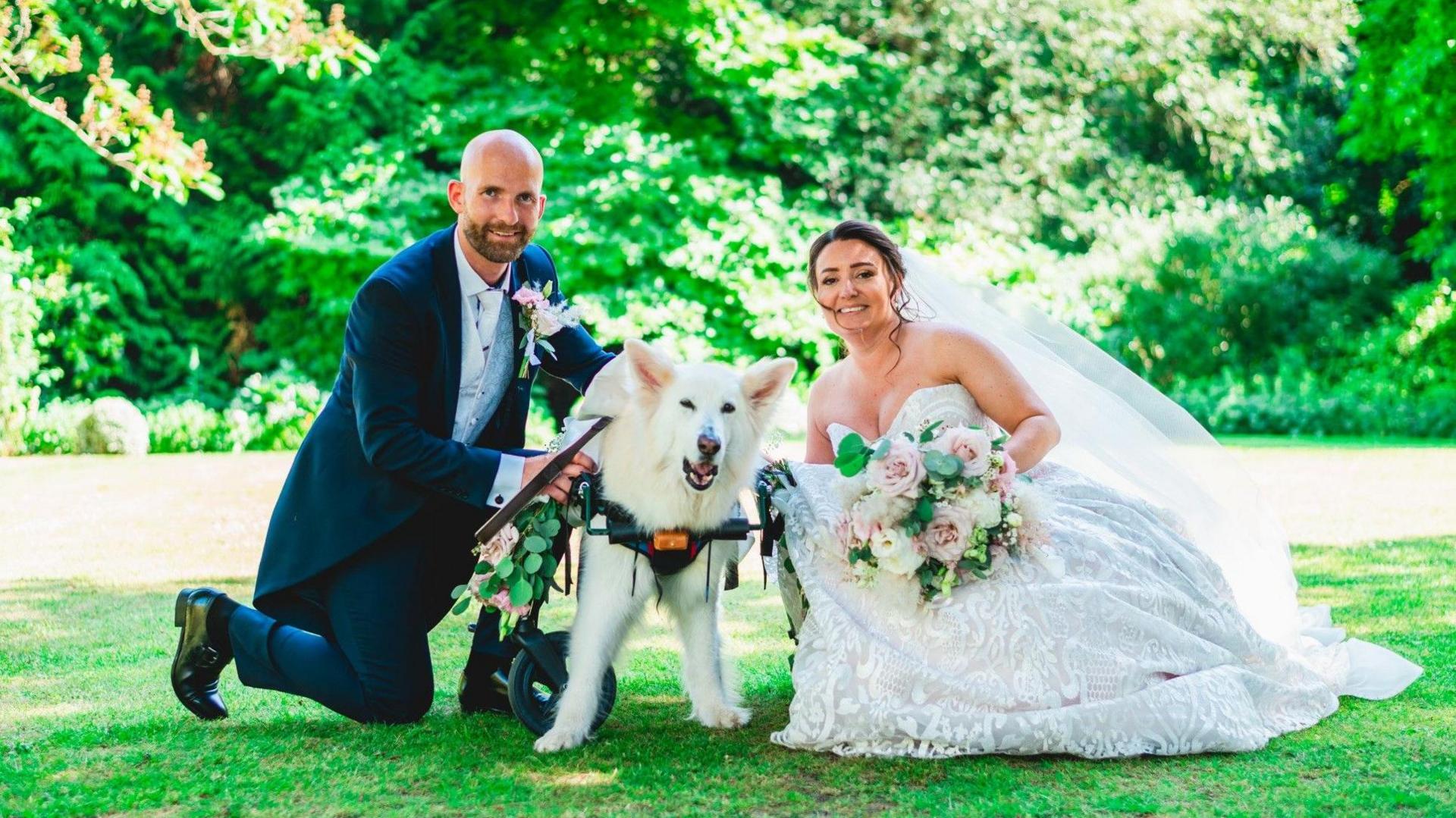 Rich Smith, left, in a navy blue suit and a silver waistcoat. He is bald with a beard. He kneels on the floor and holds his dog, who is white and fluffy and supported by wheels due to being ill. His wife is on the right and wears a lacy dress and veil. She has dark hair and holds a bouquet. 