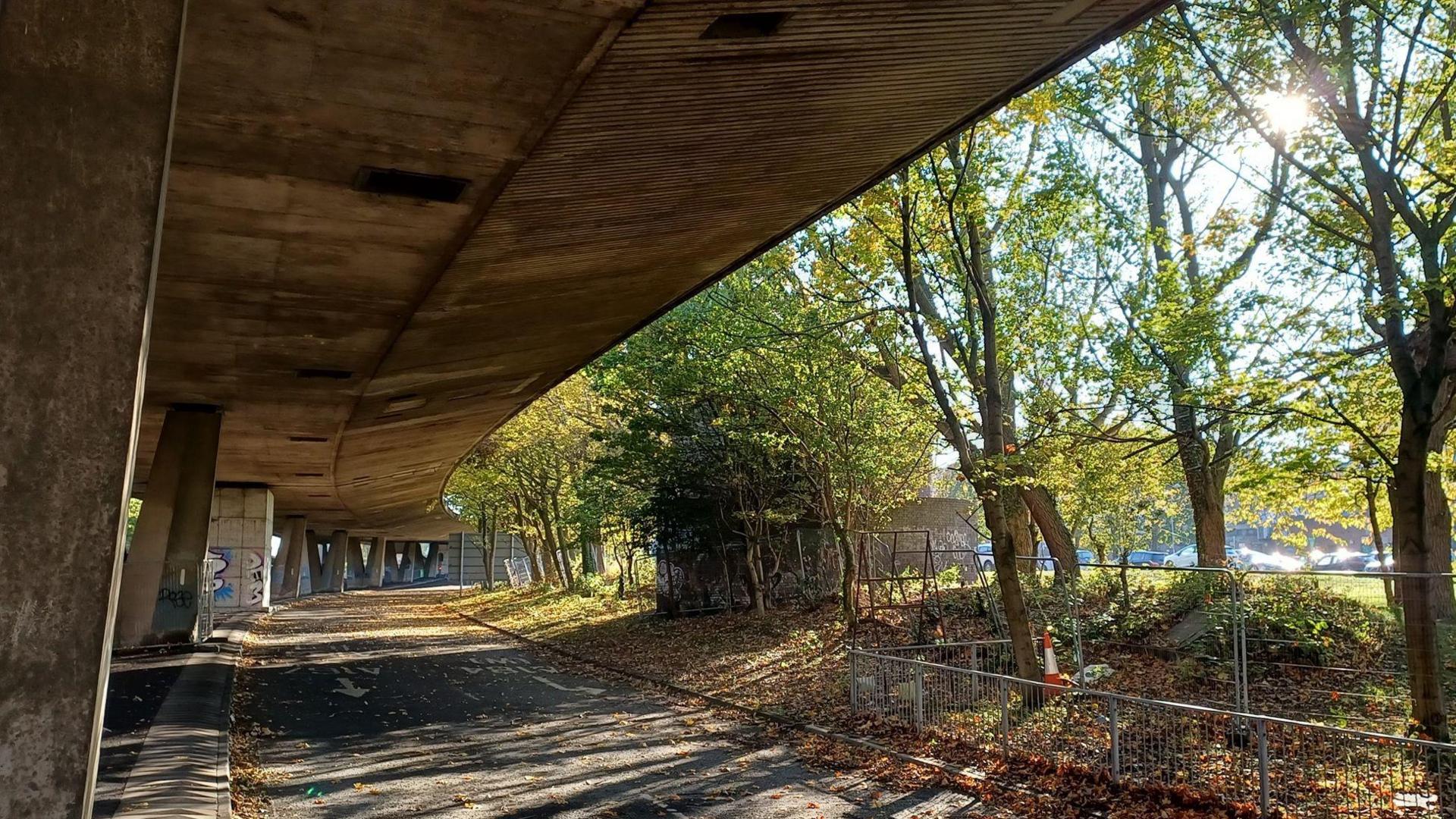 The underside of the Gateshead Flyover. It is a concrete structure propped up by several pillars. There are trees growing to the side.