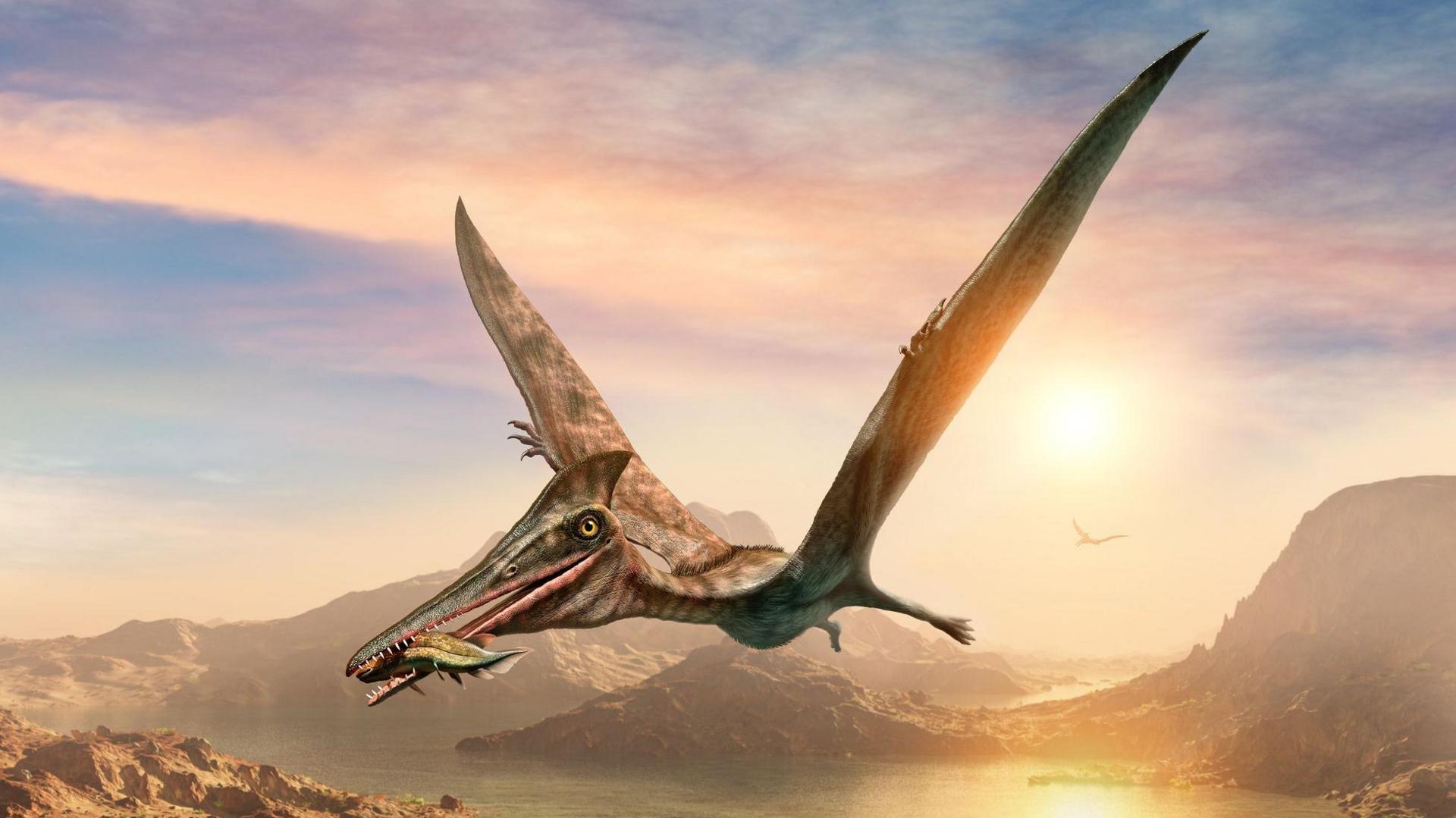 pterosaur computer generated image.