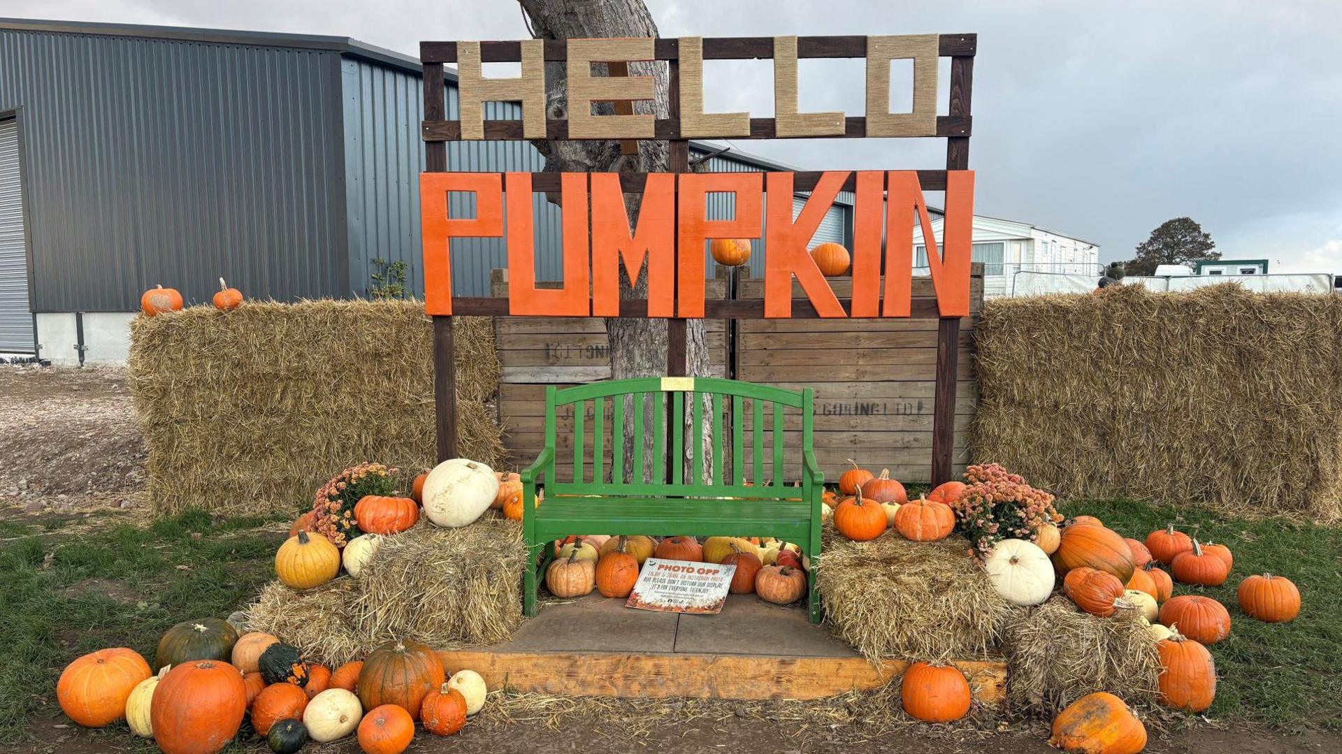 A decorative autumn display set up outdoors. At the centre, there is a bright green wooden bench placed on a small wooden platform. Behind the bench stands a large wooden frame with the words “HELLO PUMPKIN” written in bold letters; “HELLO” is in beige, while “PUMPKIN” is in vibrant orange. Surrounding the bench are bales of straw arranged on either side, topped and surrounded by an assortment of pumpkins and gourds in various sizes and colours, including orange, white, and green. There are also some orange flowers placed among the pumpkins for added decoration. In the background, there are large hay bales forming a wall, and beyond that, a grey metal building and other farm structures are visible. A shiny silver disco ball hangs above the display. The ground is bare soil with patches of grass.