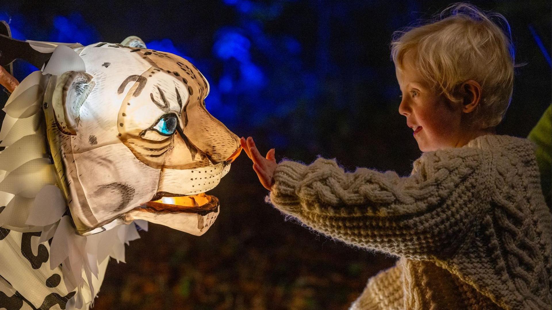 A young child with blonde hair wearing a cream knitted jumper touches the nose of leopard lantern puppet at Chester Zoo