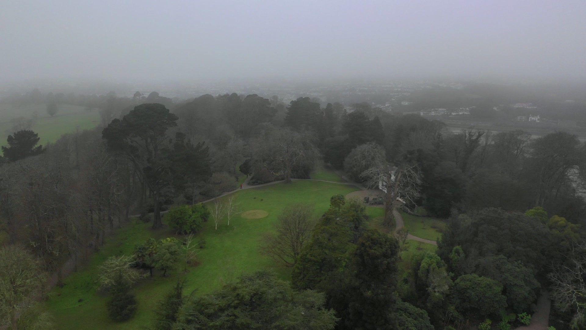 Saltram aerial view