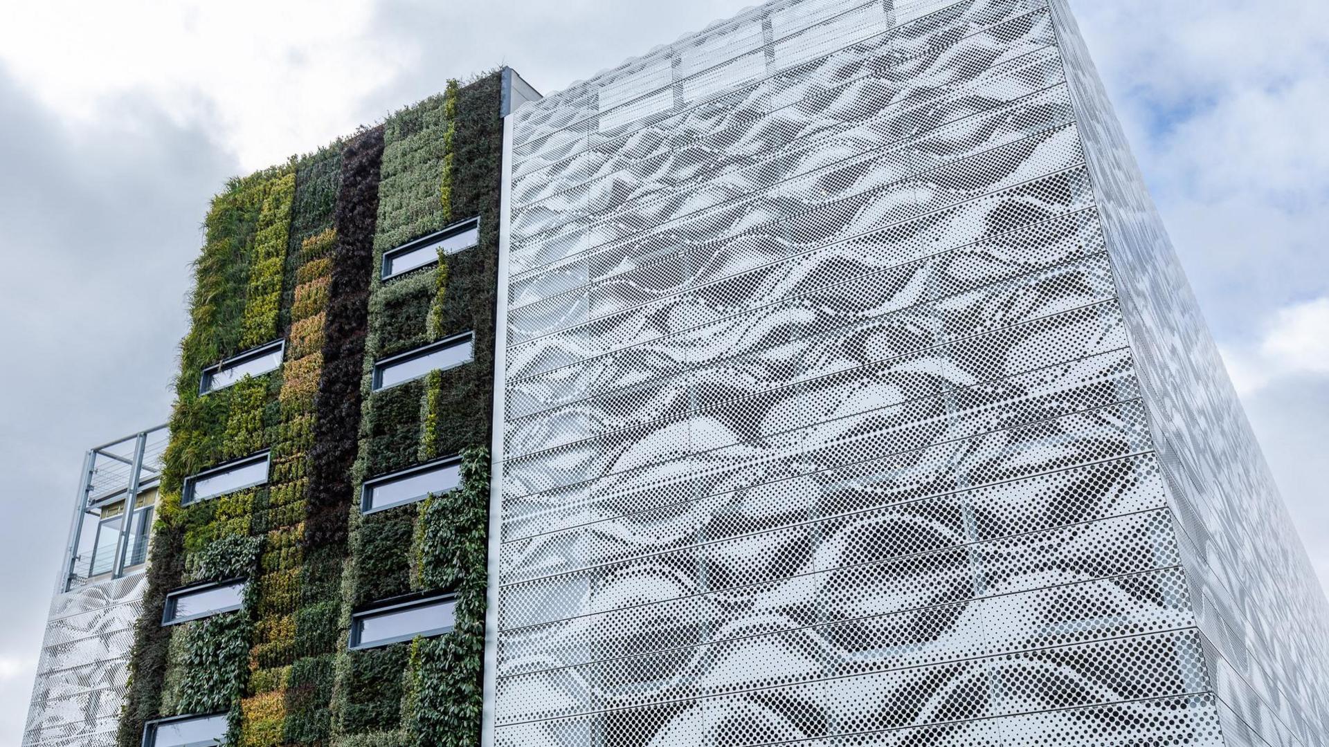 The plants growing on the side of the car park